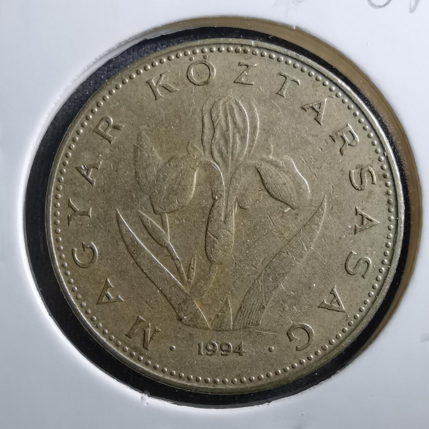 沼泽如烟--第703场