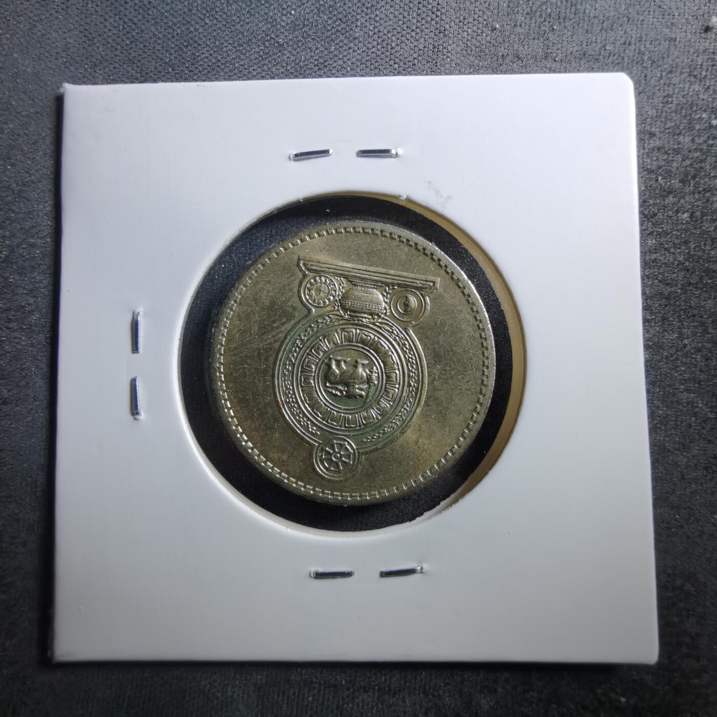 沼泽如烟--第703场