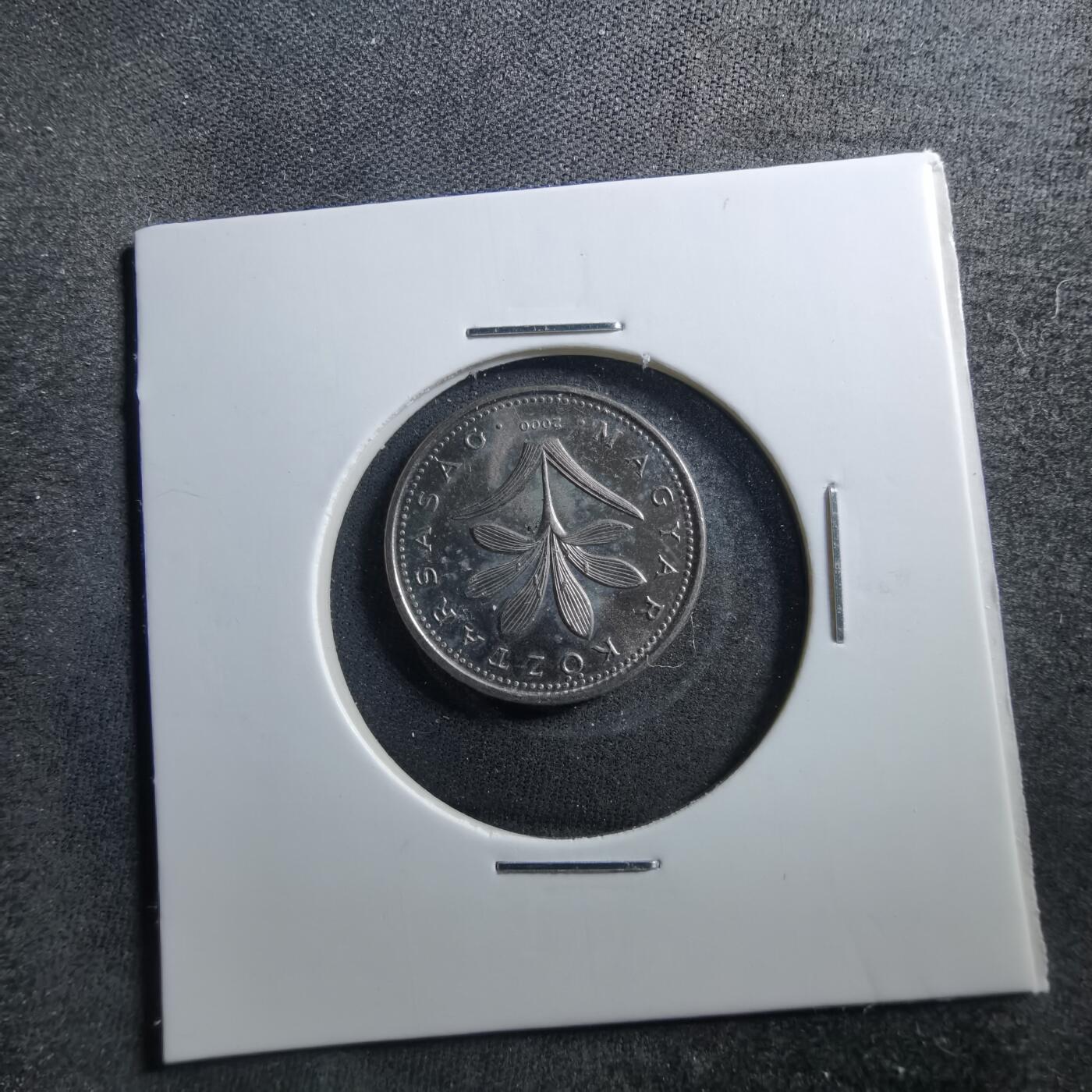 沼泽如烟--第703场