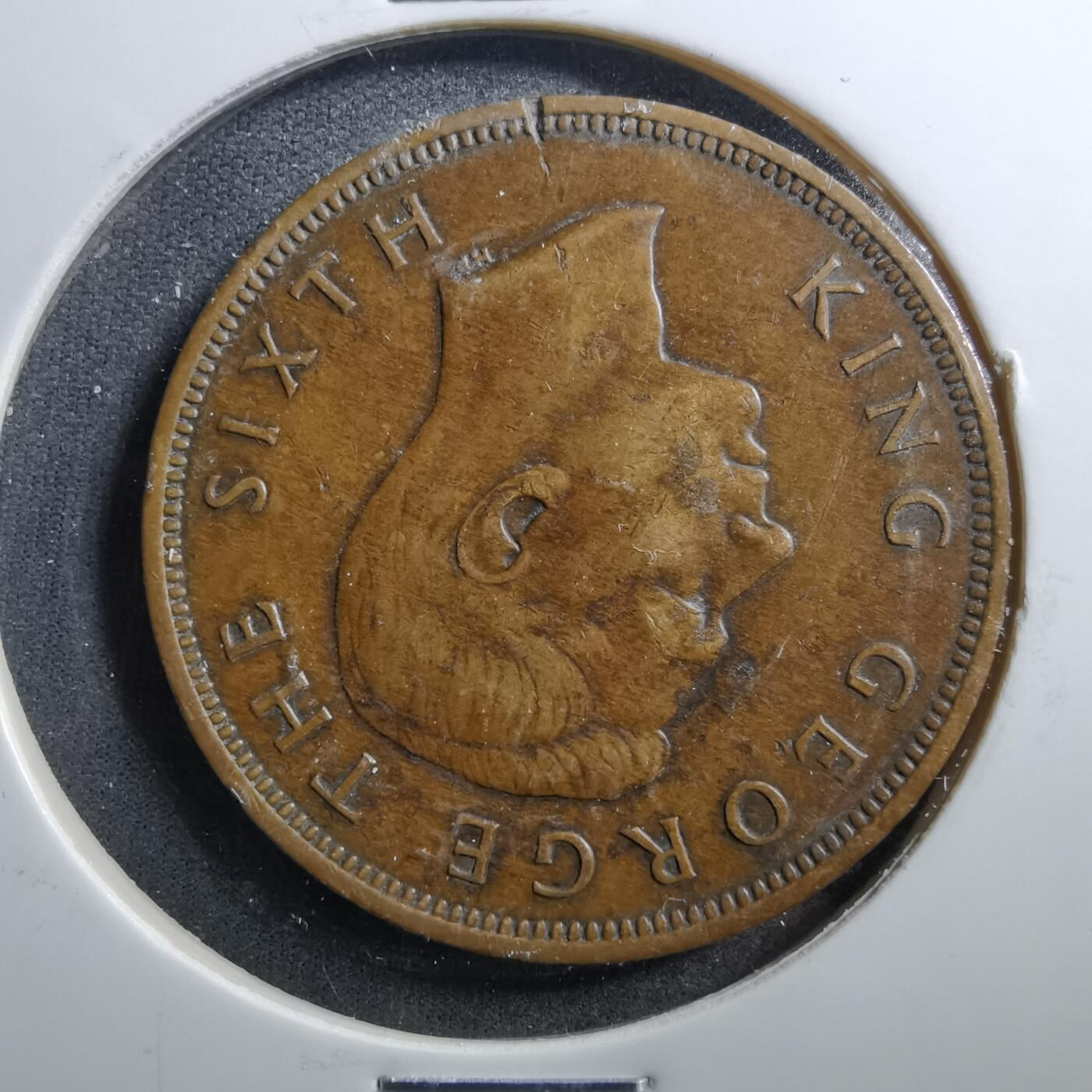 沼泽如烟--第703场