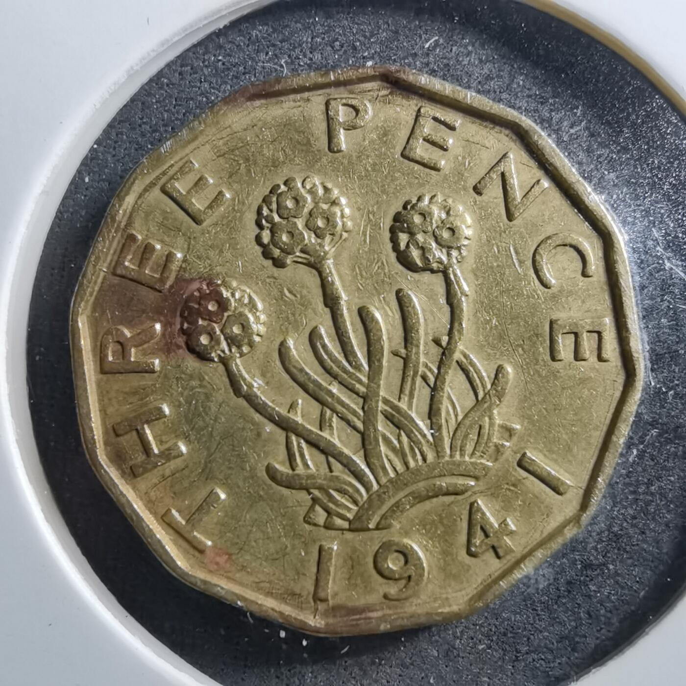 沼泽如烟--第703场