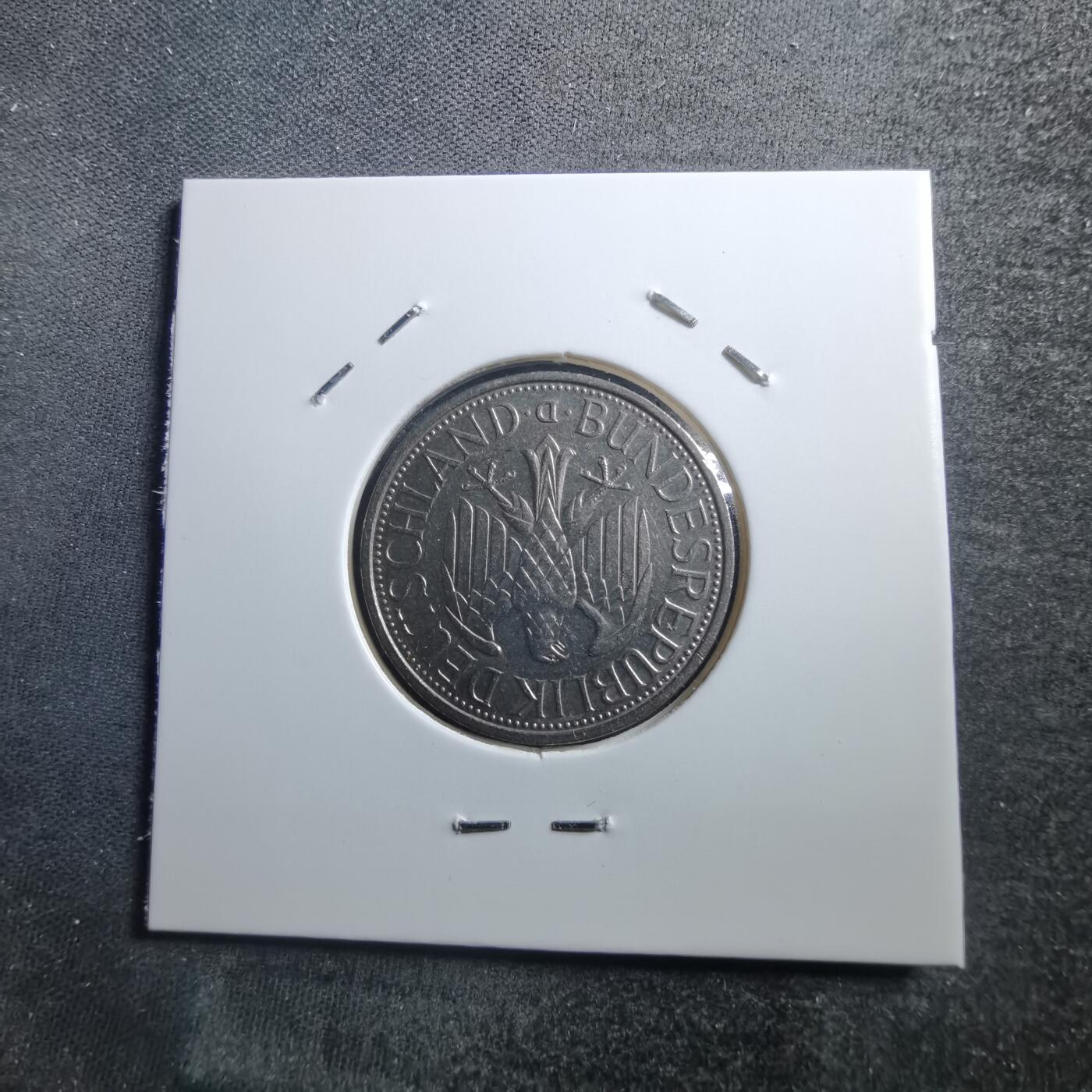 沼泽如烟--第705场