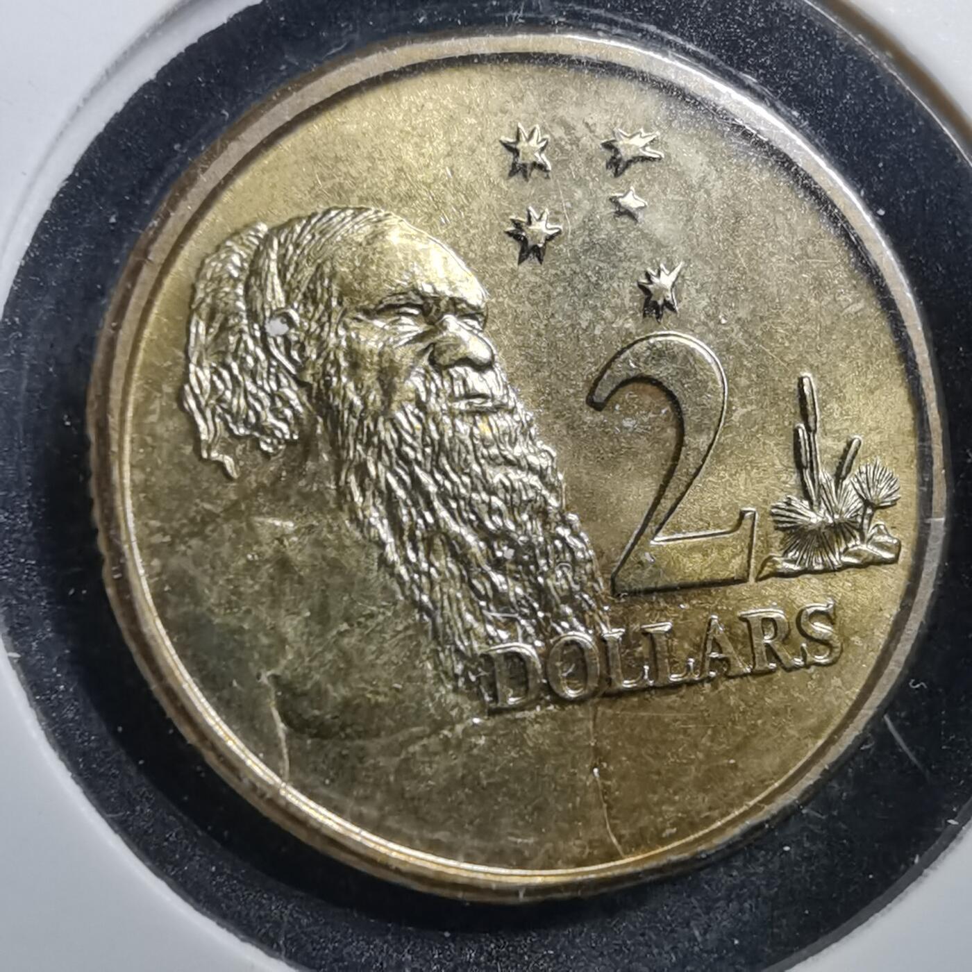 沼泽如烟--第705场