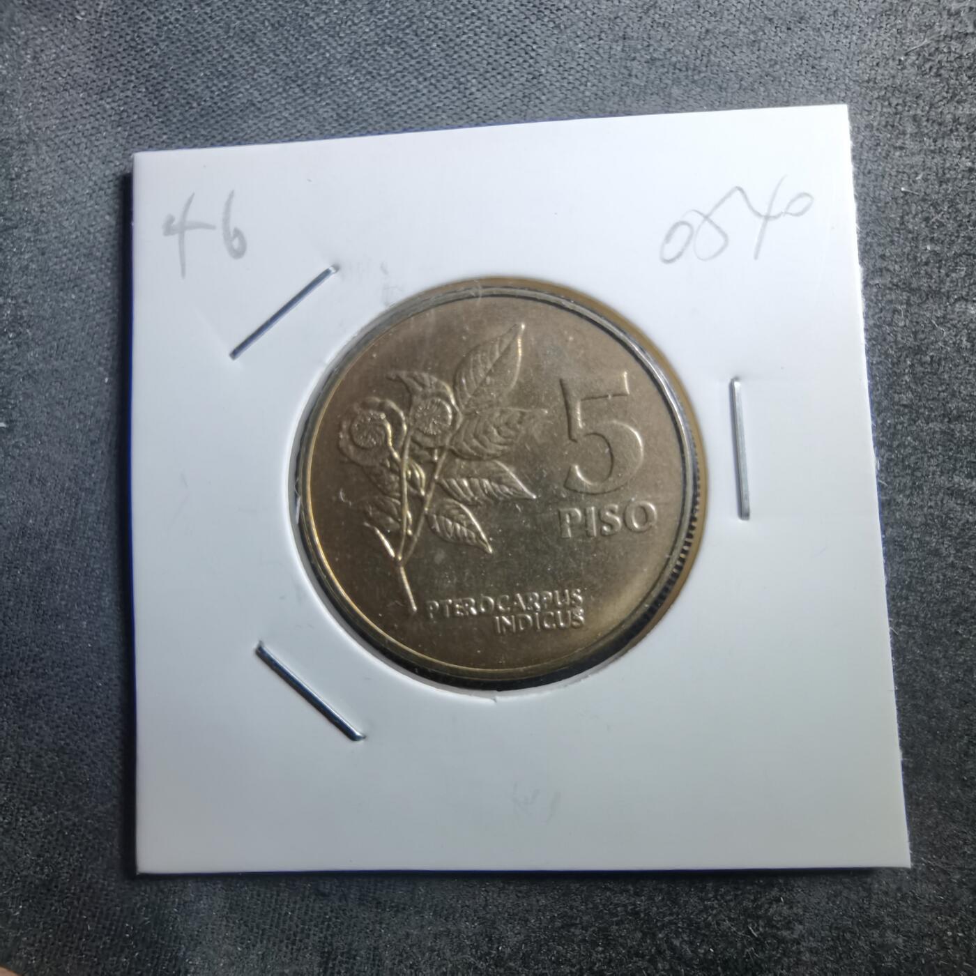 沼泽如烟--第705场