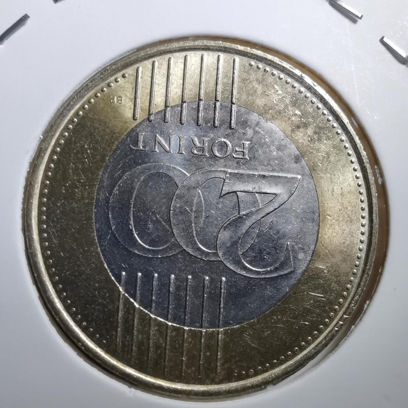 沼泽如烟--第705场