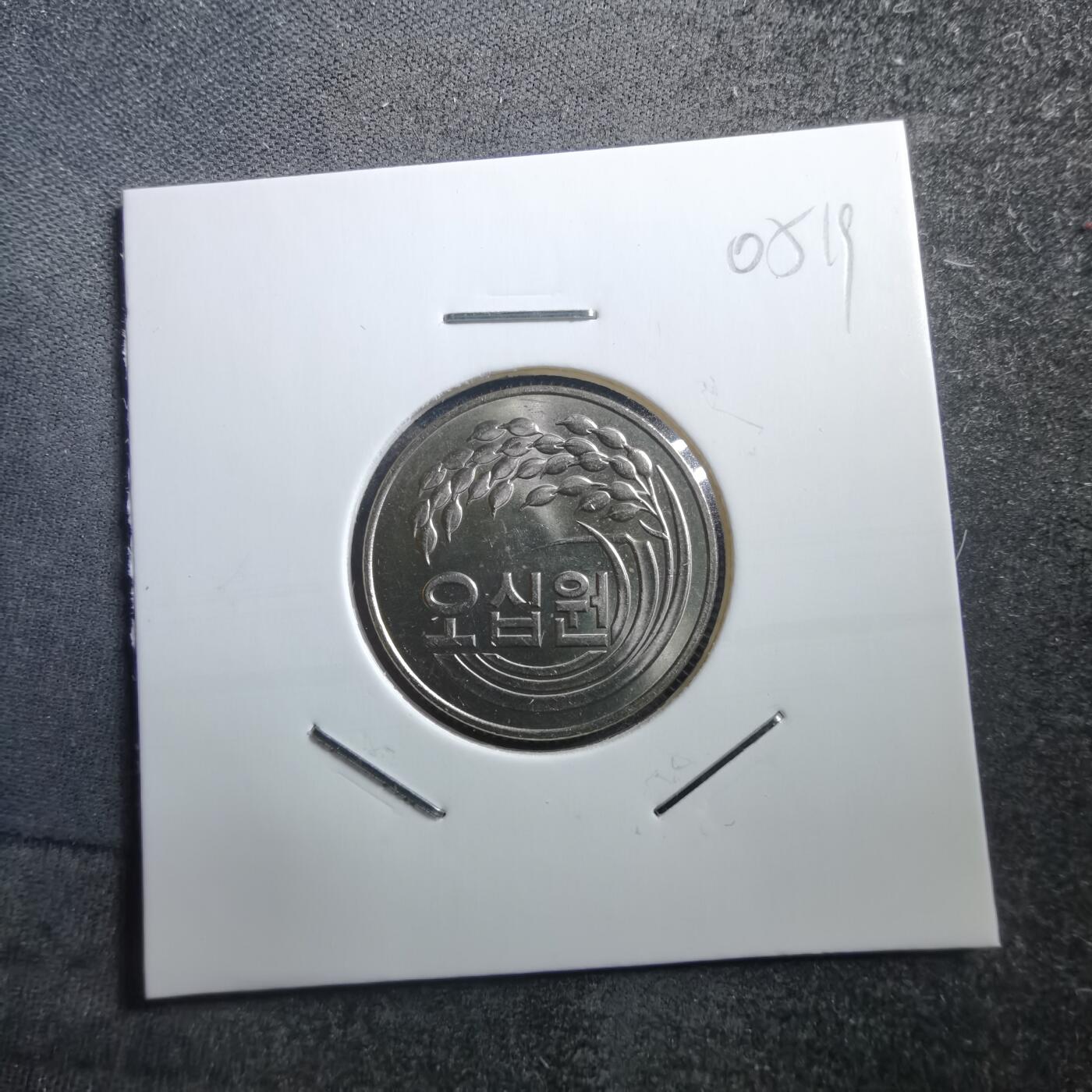 沼泽如烟--第705场