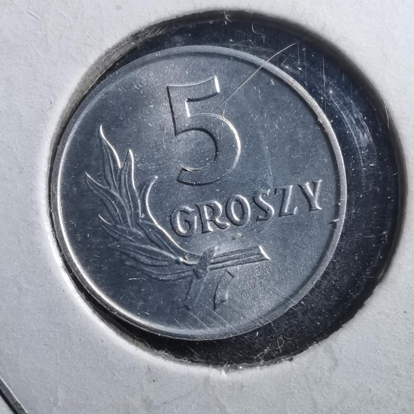 沼泽如烟--第705场