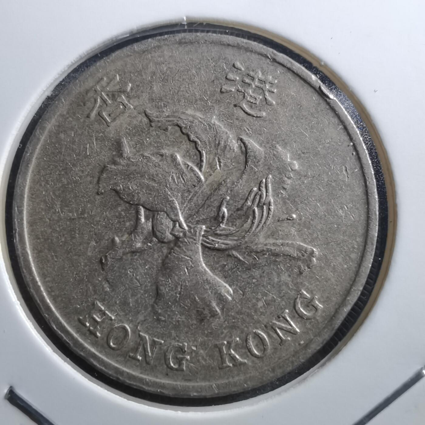 沼泽如烟--第705场