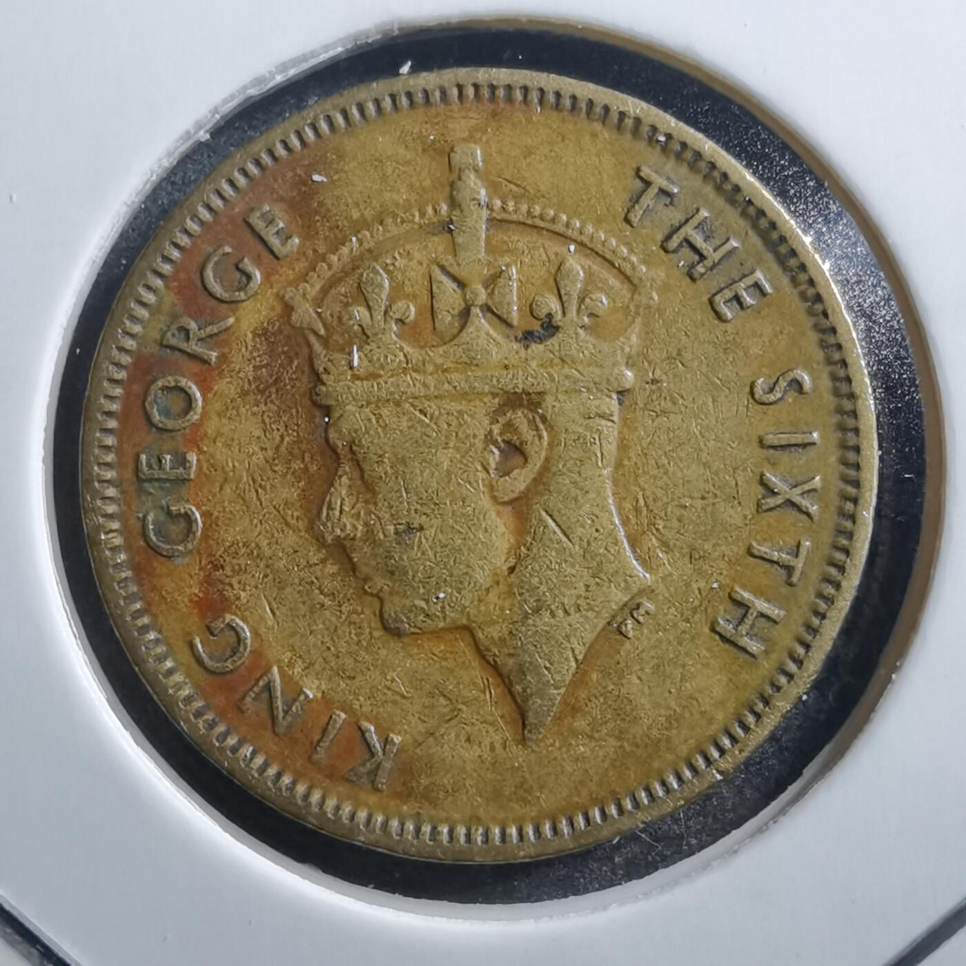 沼泽如烟--第705场