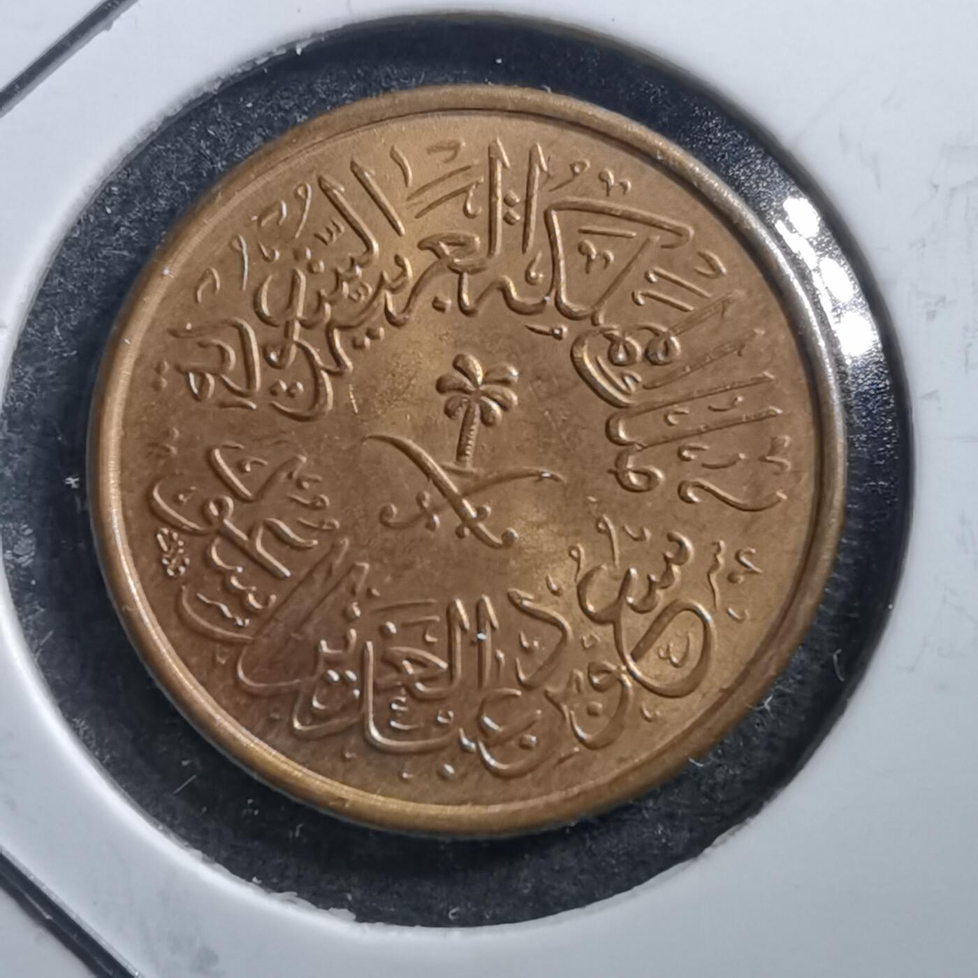 沼泽如烟--第705场