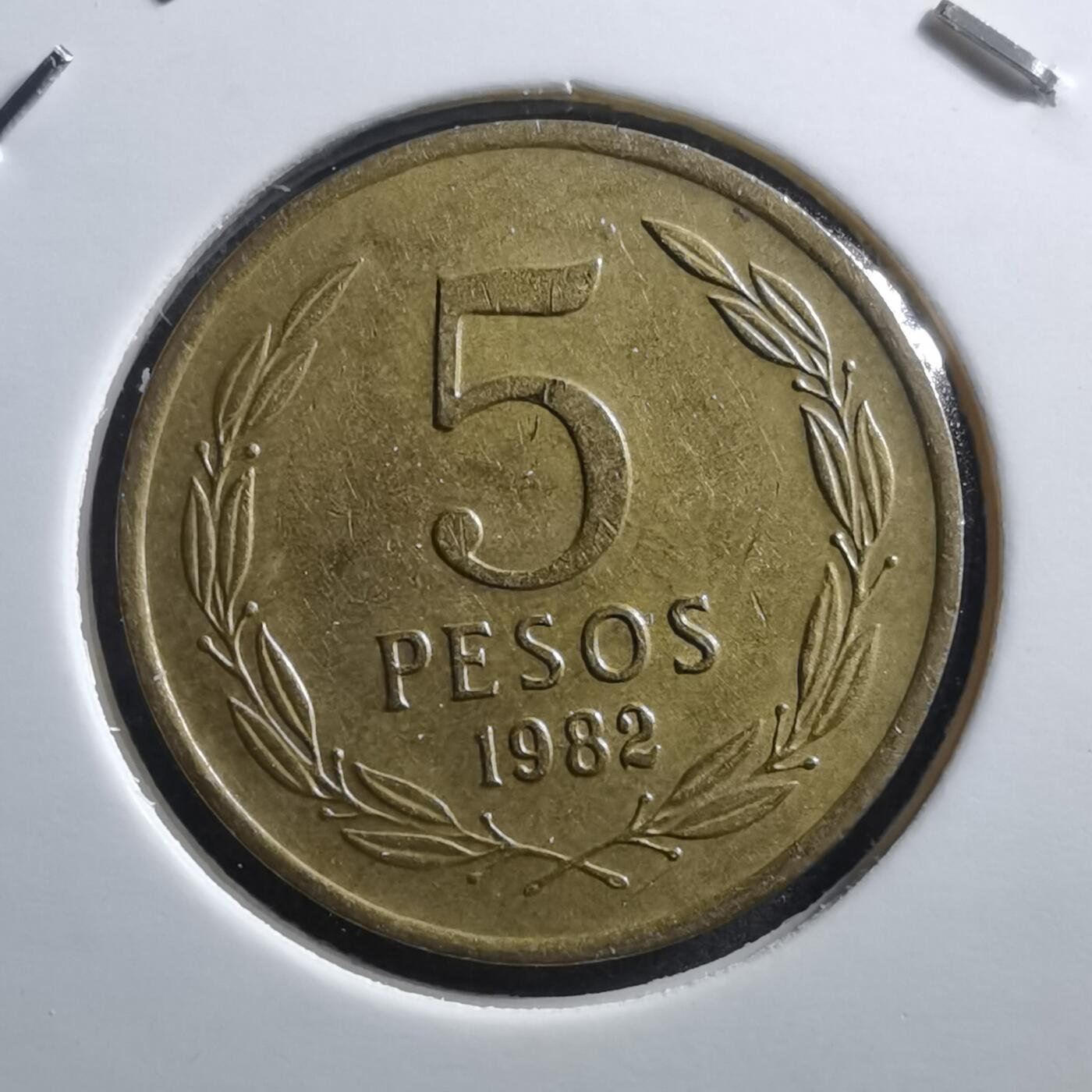 沼泽如烟--第705场