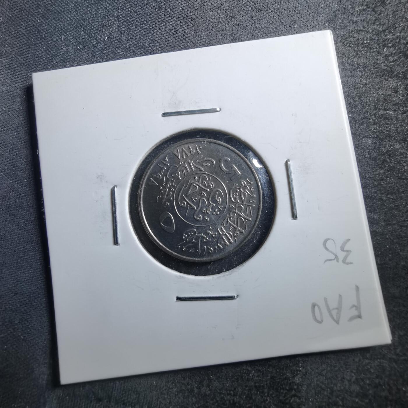 沼泽如烟--第705场