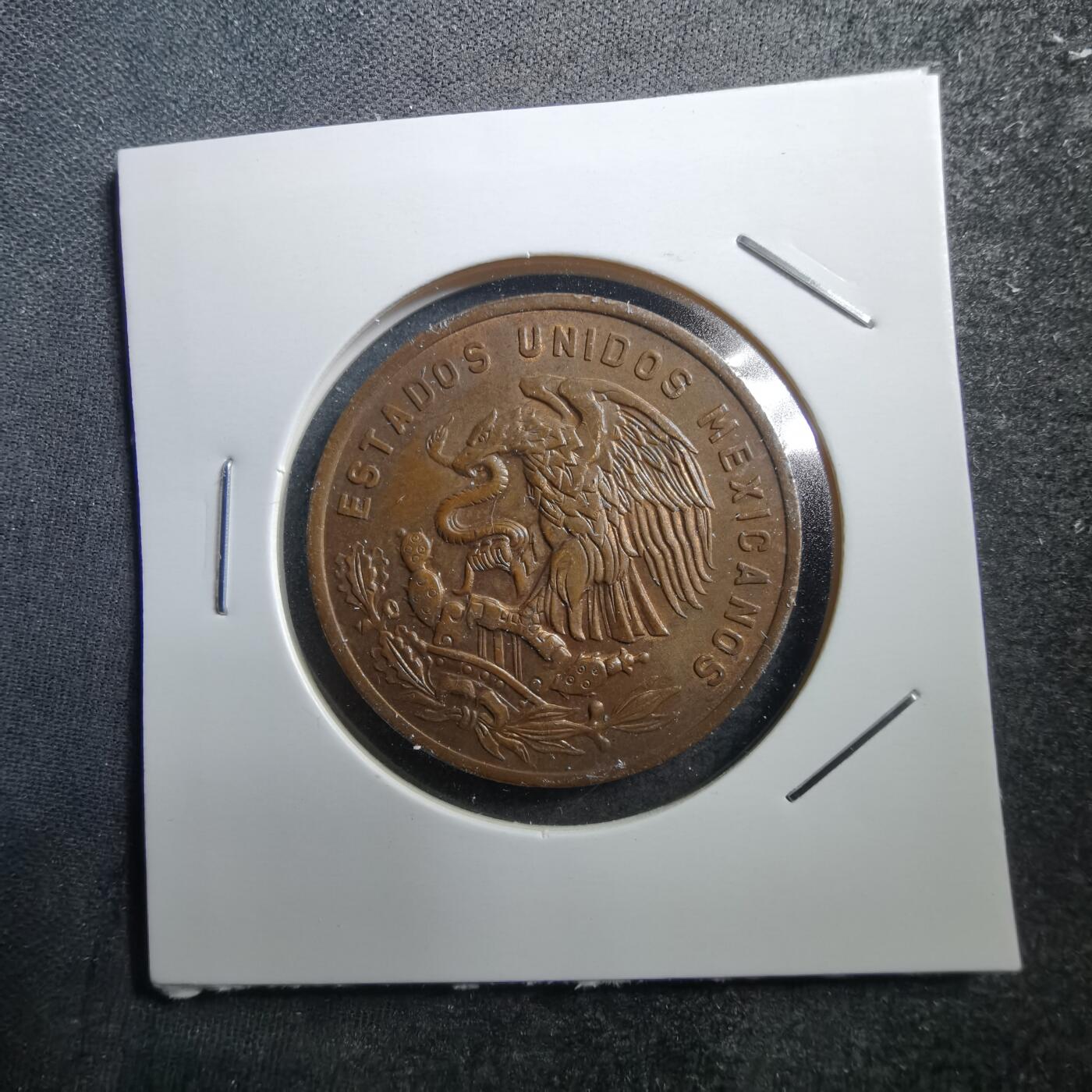 沼泽如烟--第704场