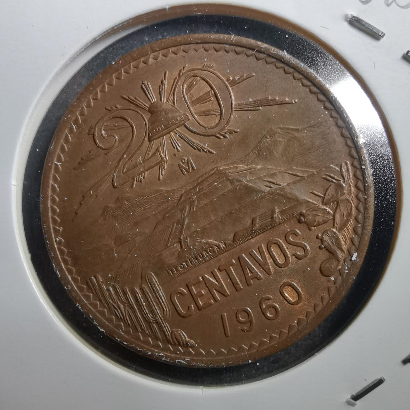 沼泽如烟--第704场