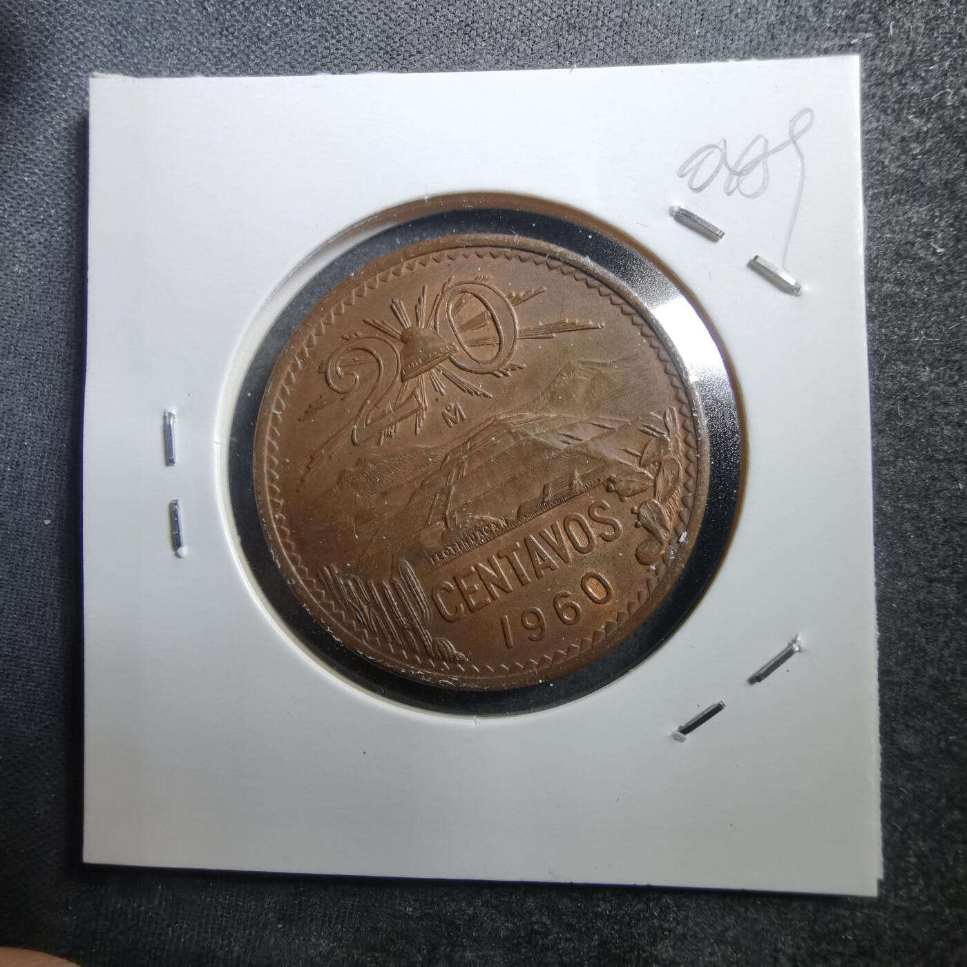 沼泽如烟--第704场