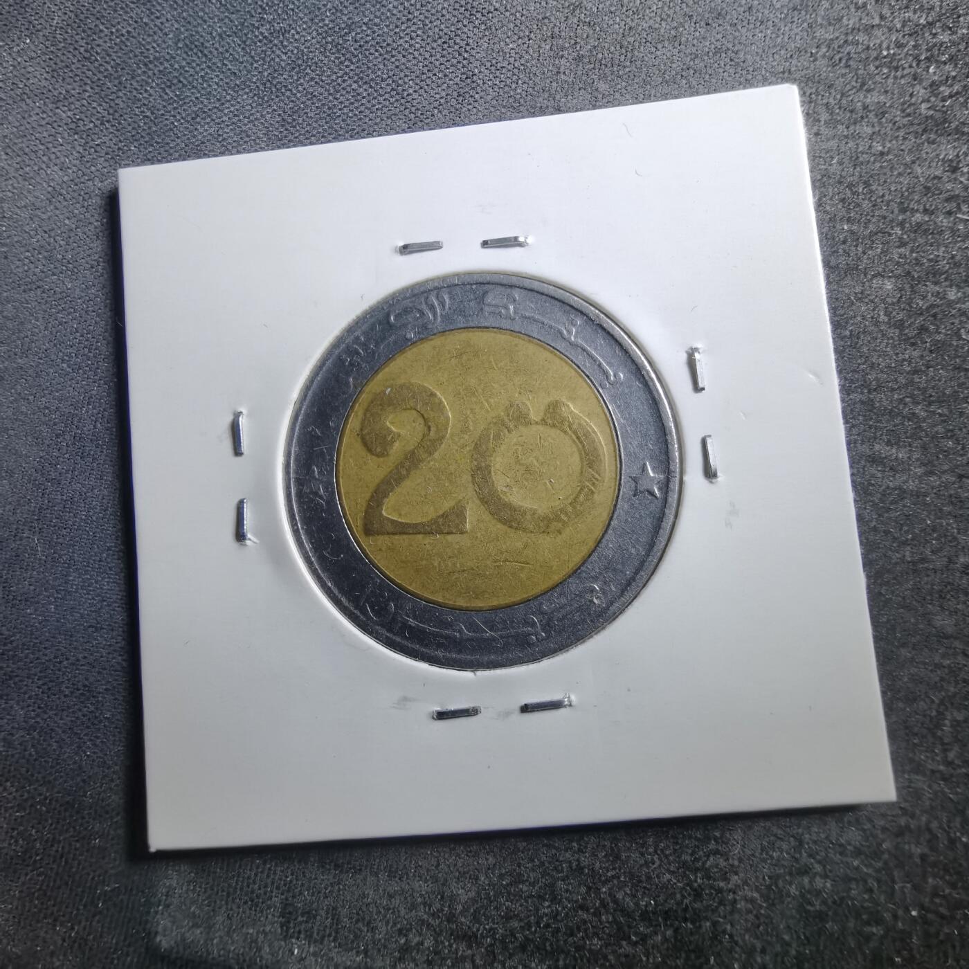 沼泽如烟--第705场