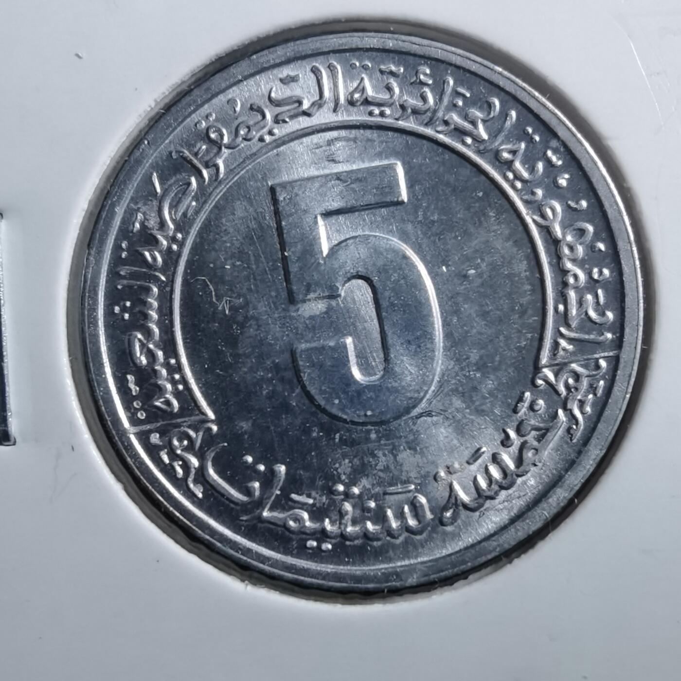 沼泽如烟--第705场