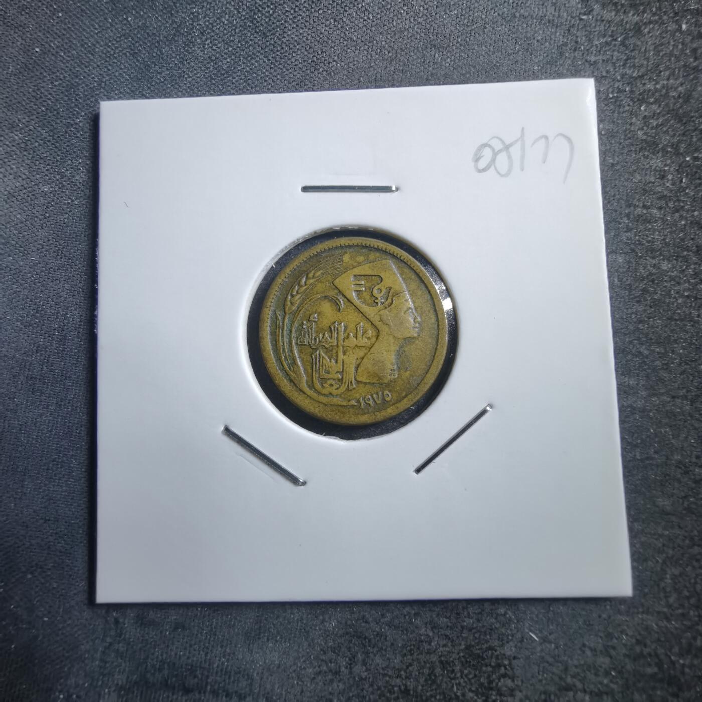 沼泽如烟--第705场