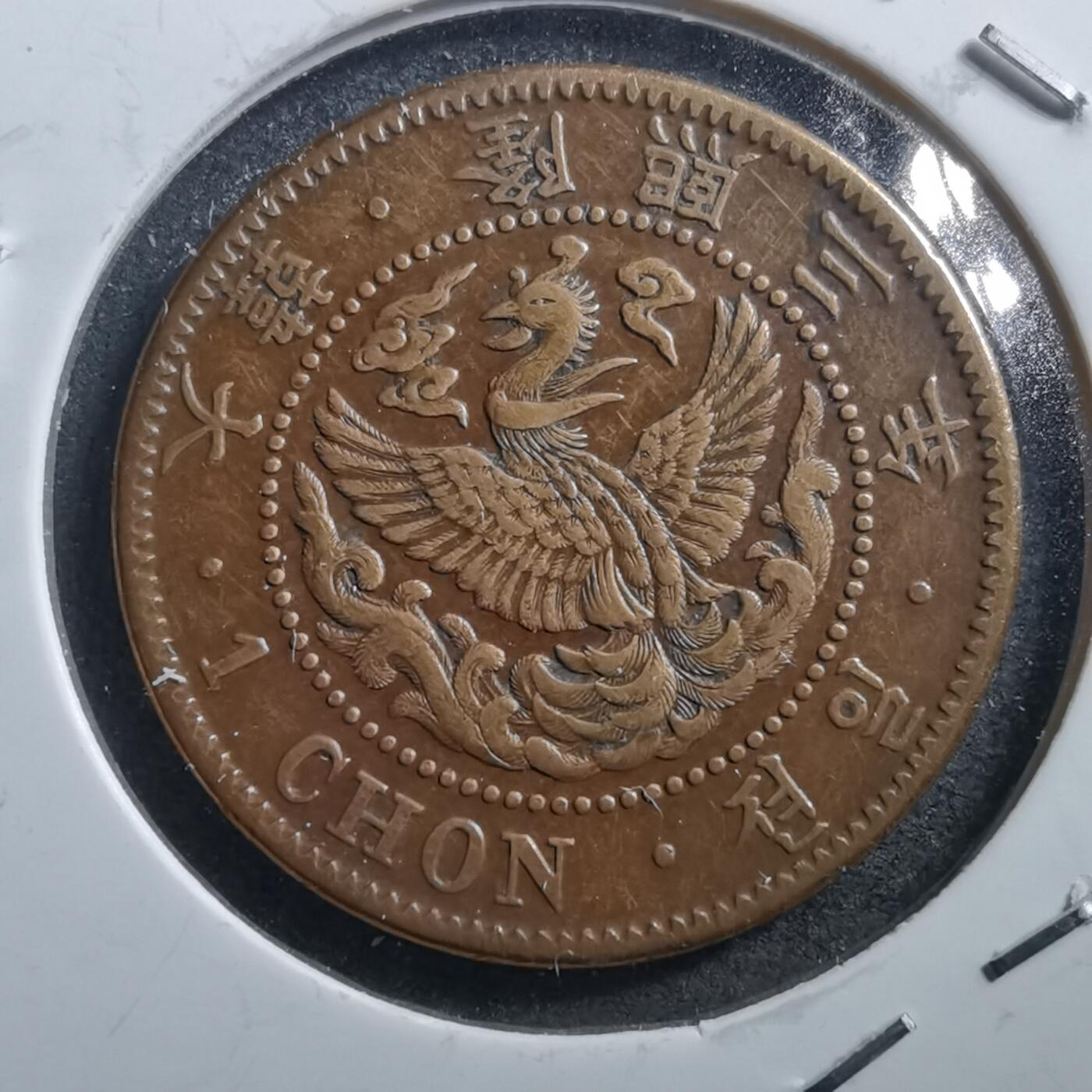 沼泽如烟--第705场