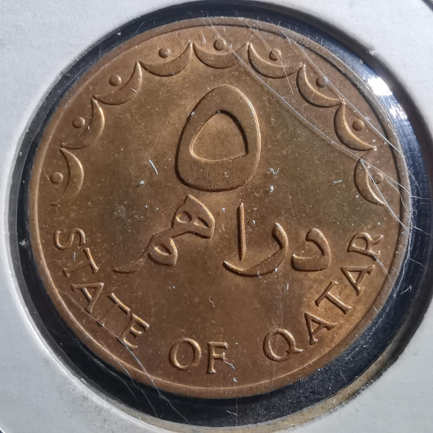 沼泽如烟--第705场