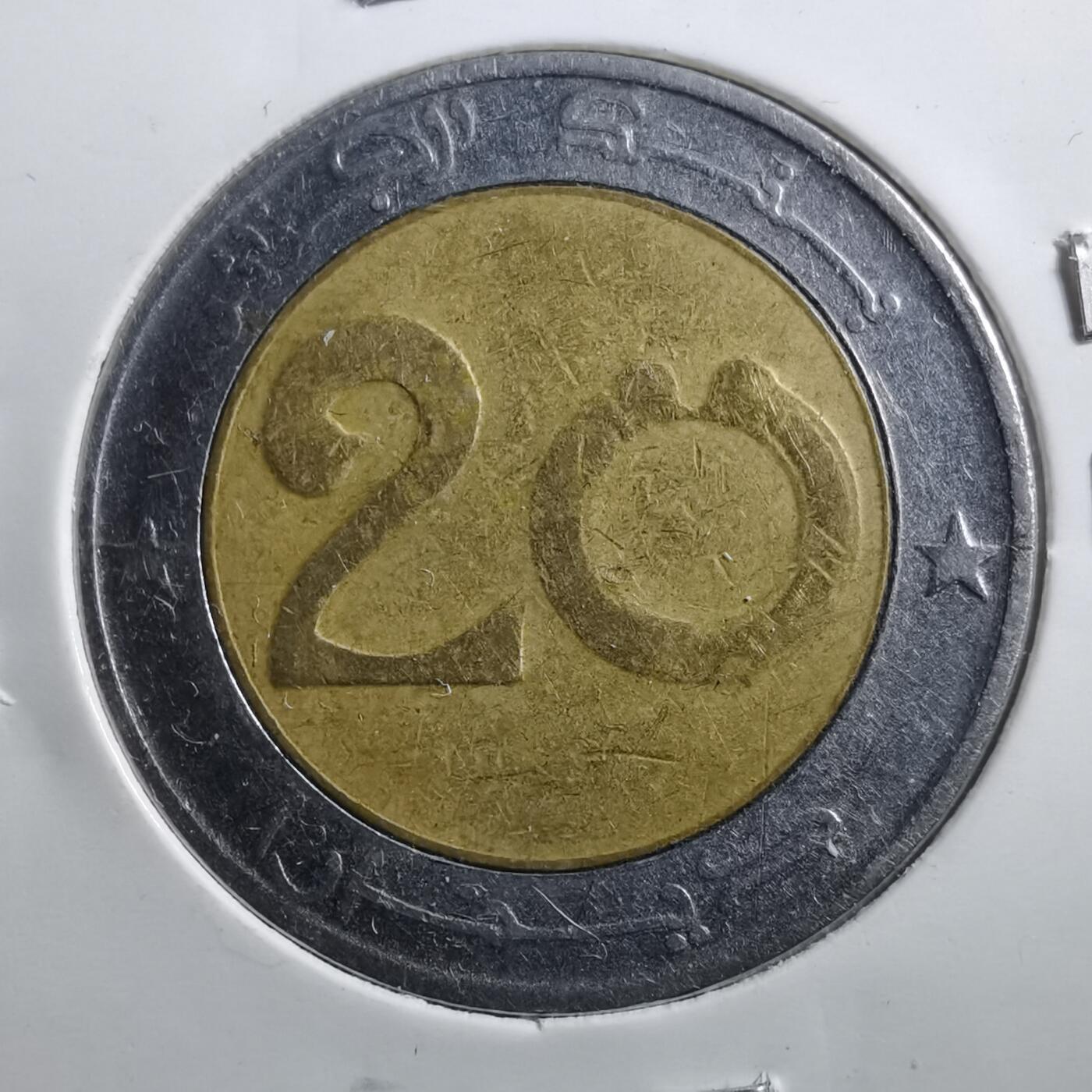 沼泽如烟--第705场