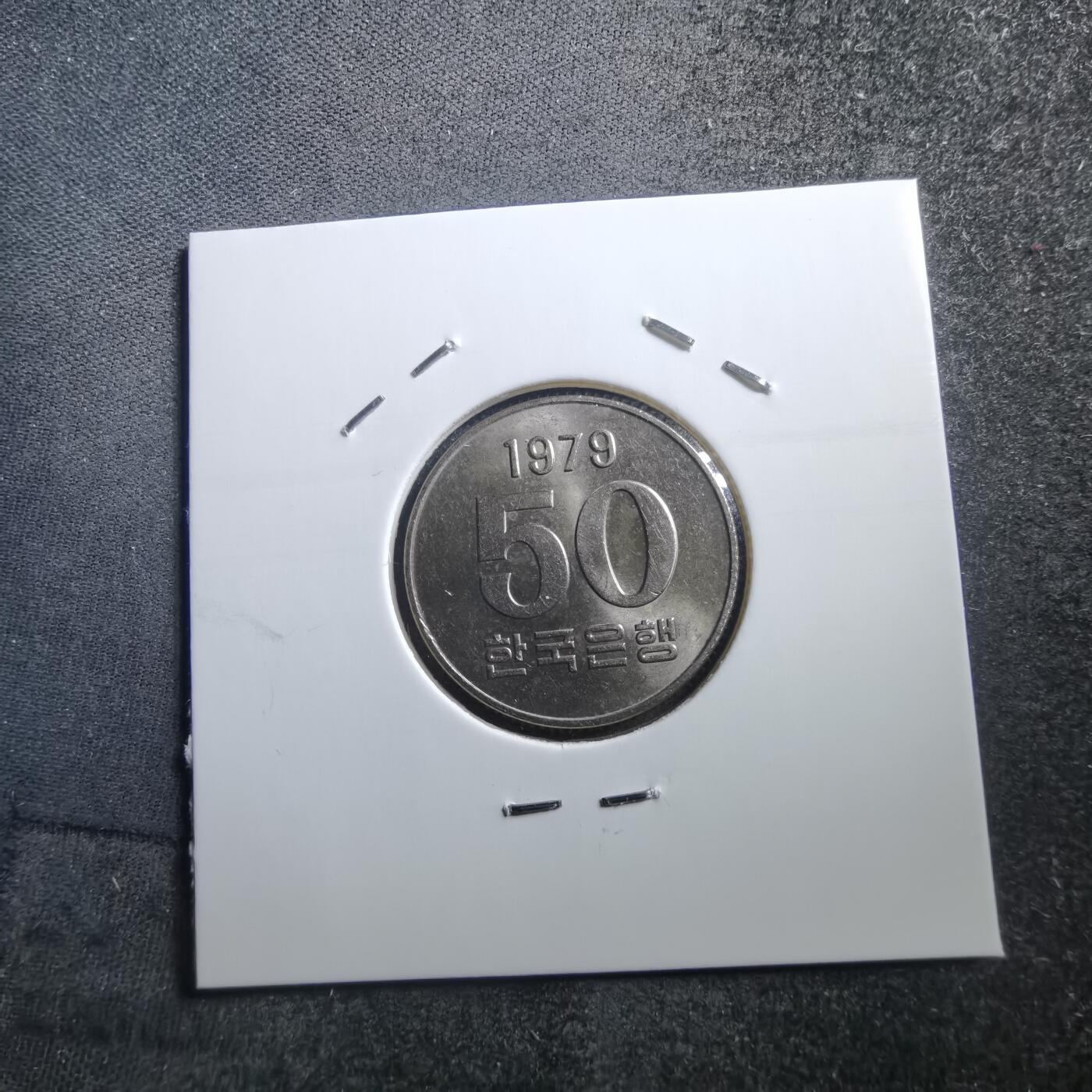 沼泽如烟--第705场