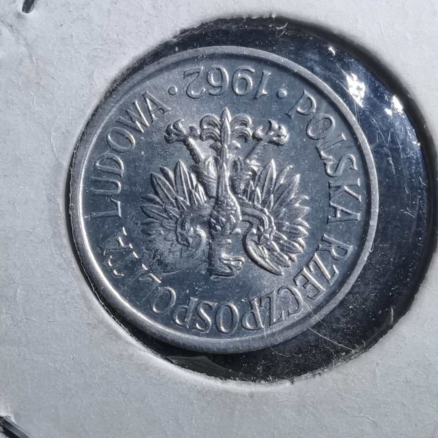 沼泽如烟--第705场