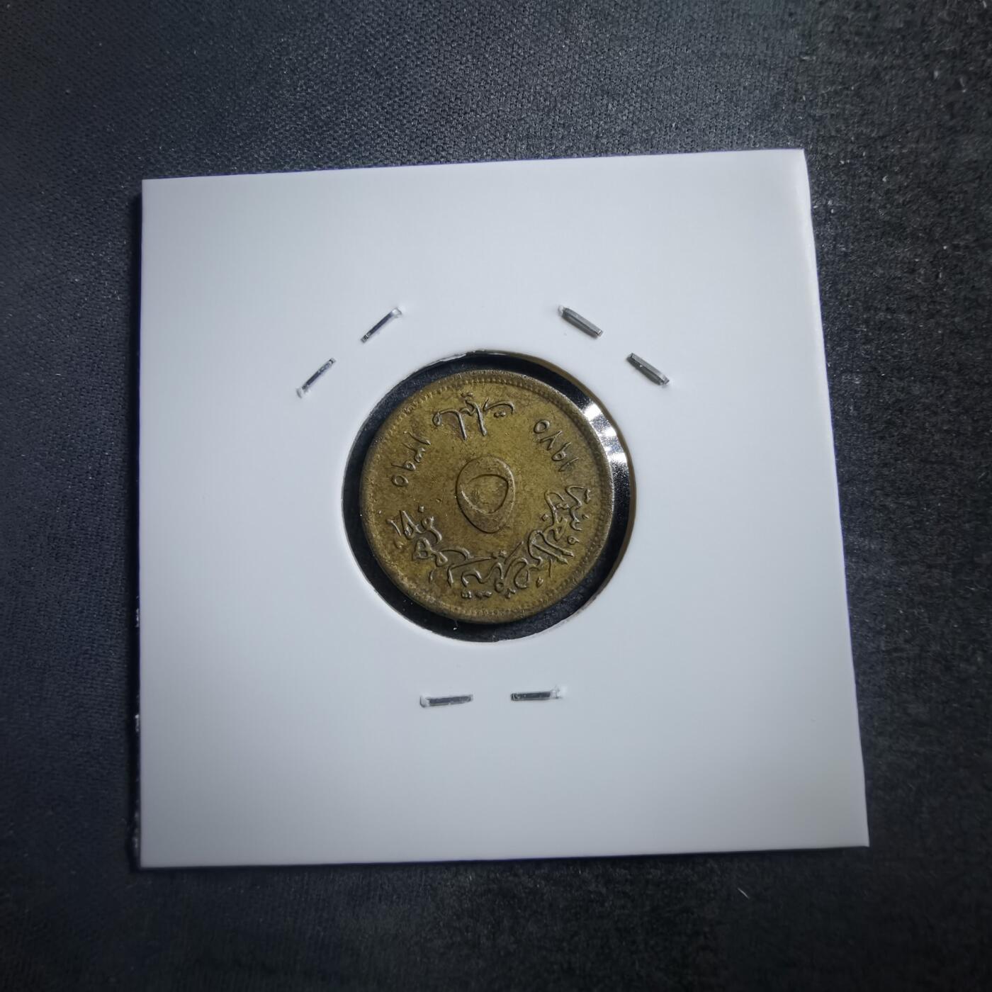 沼泽如烟--第705场