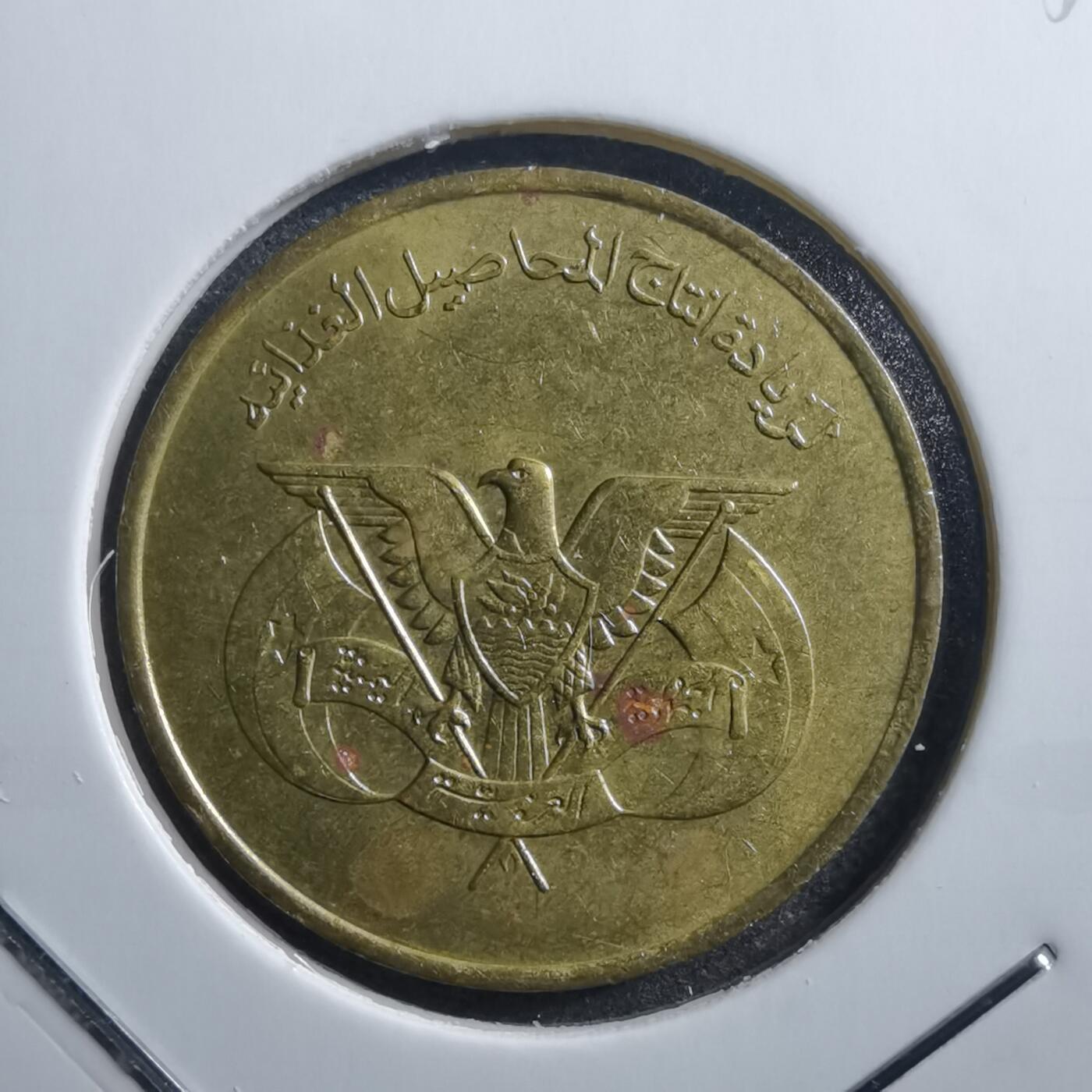 沼泽如烟--第705场