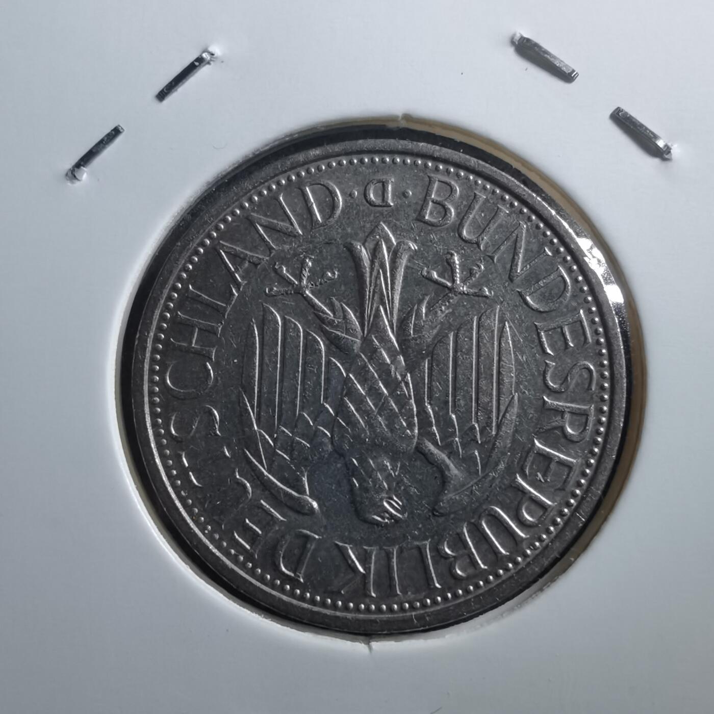 沼泽如烟--第705场