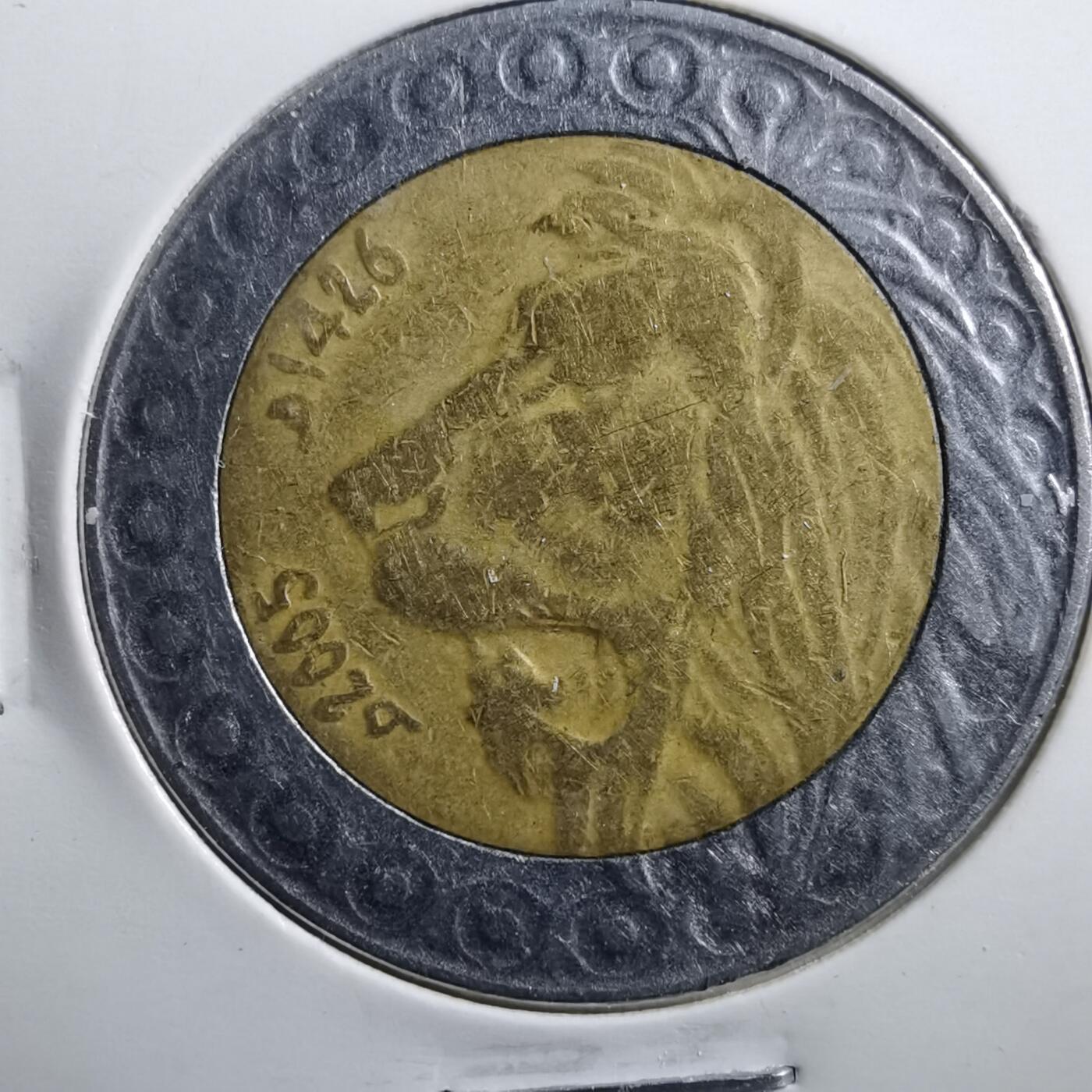 沼泽如烟--第705场