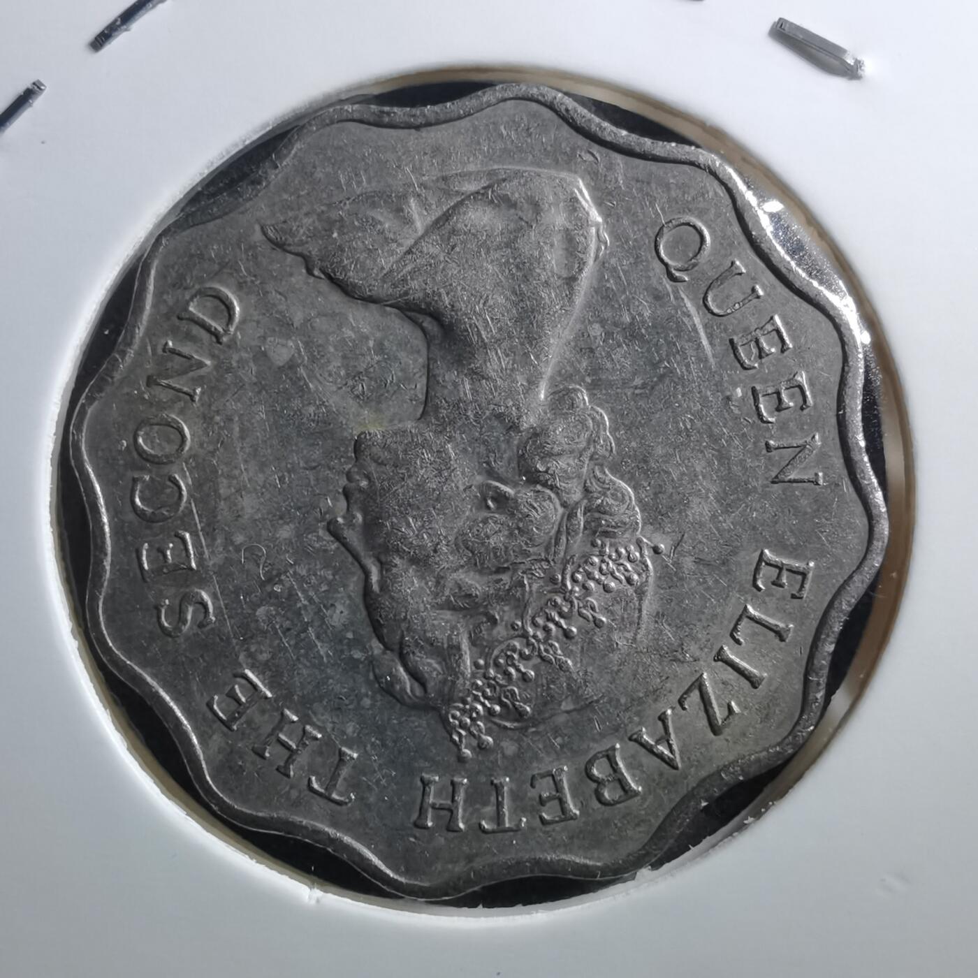 沼泽如烟--第705场