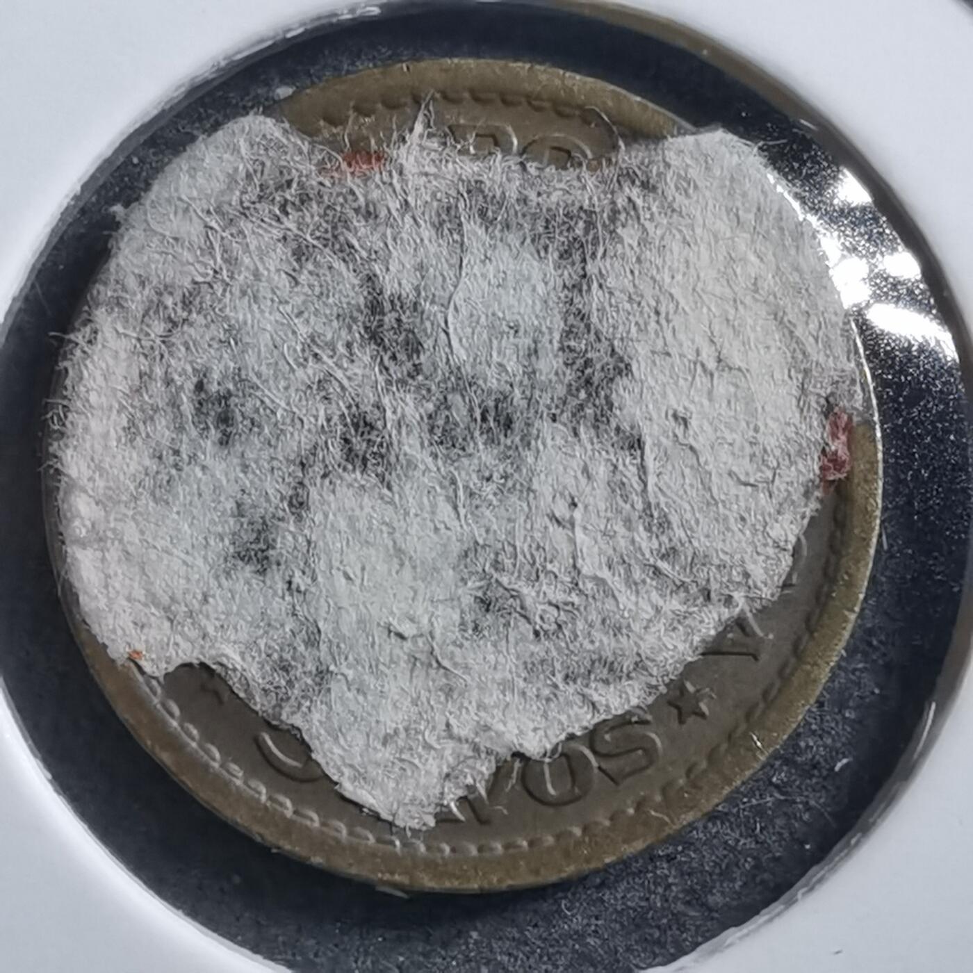 沼泽如烟--第705场