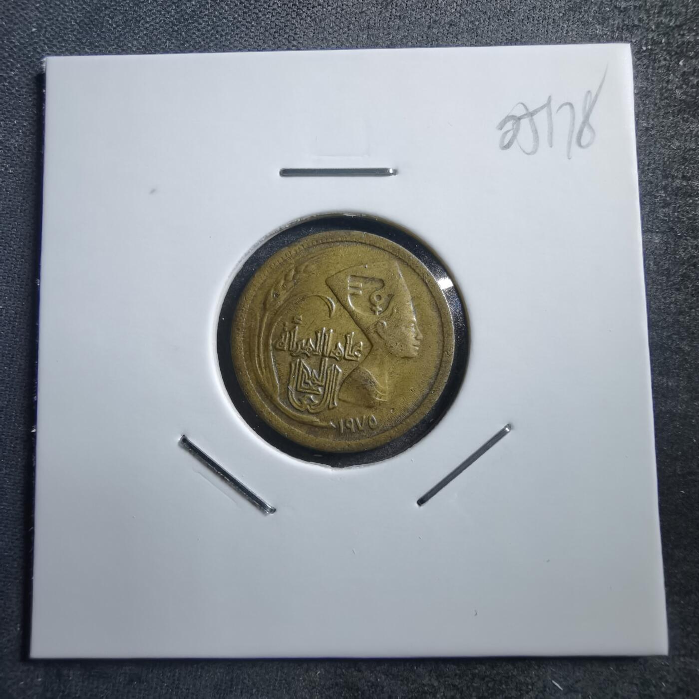 沼泽如烟--第705场