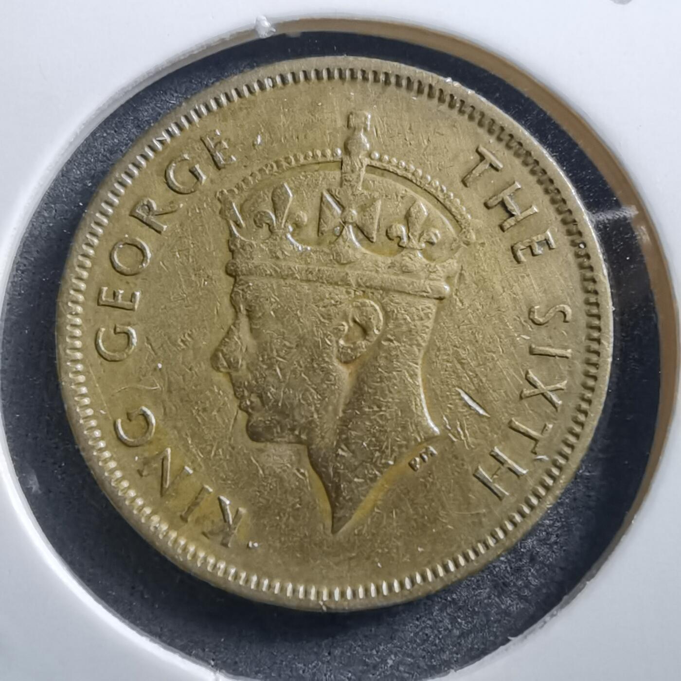 沼泽如烟--第704场