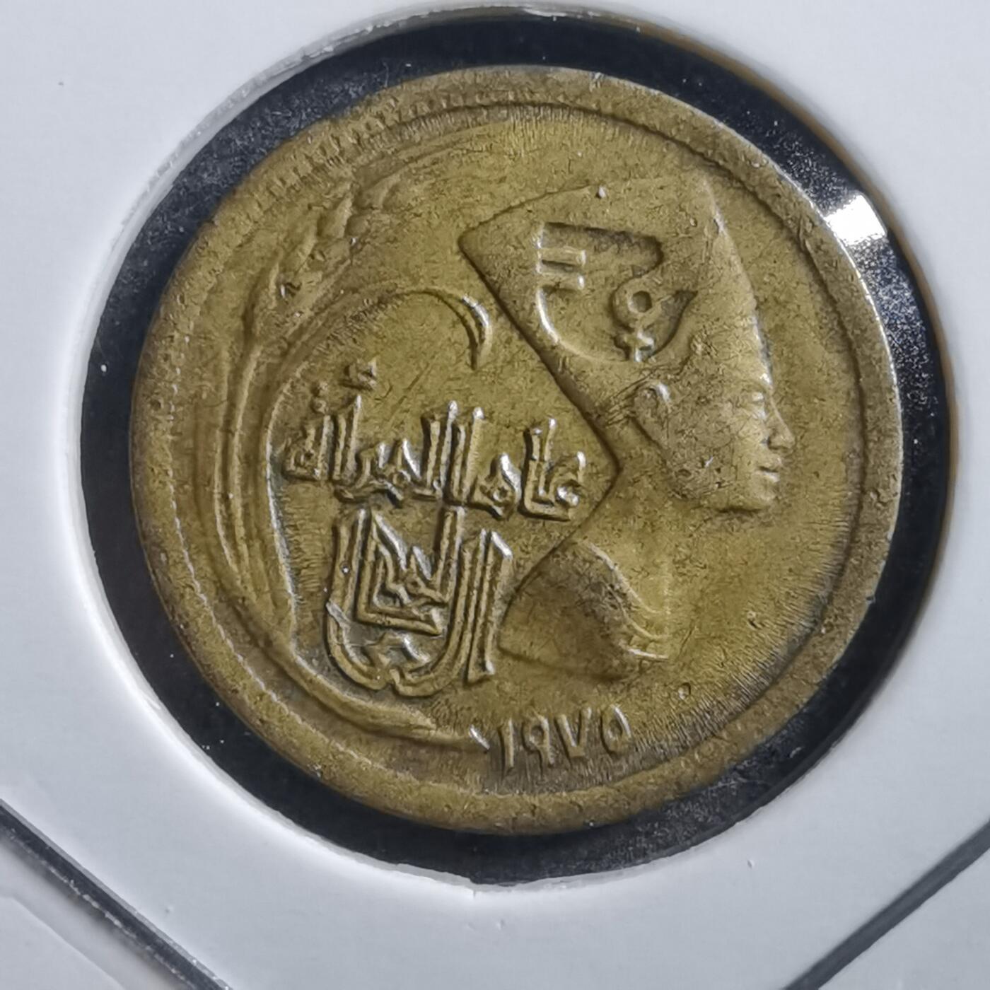 沼泽如烟--第705场