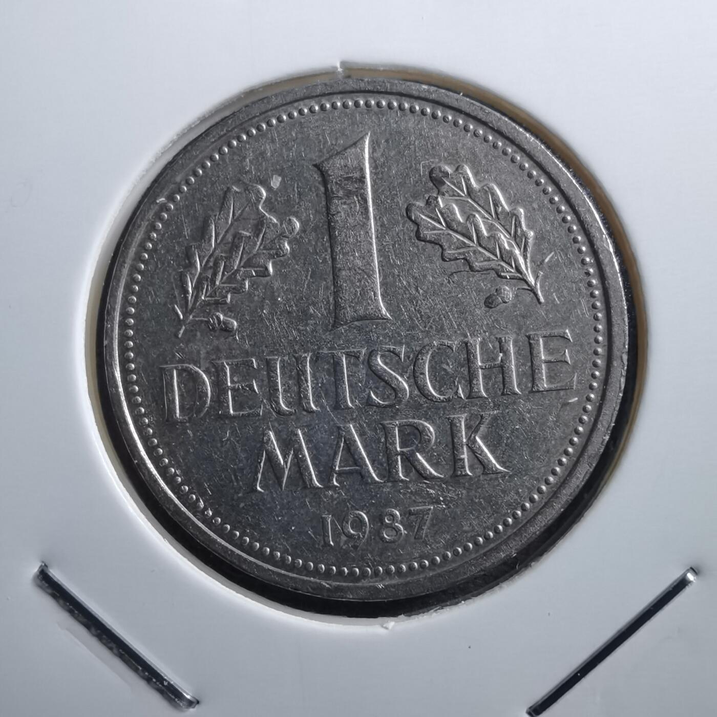 沼泽如烟--第705场