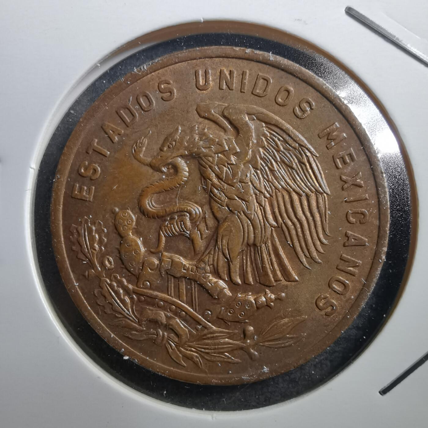 沼泽如烟--第704场