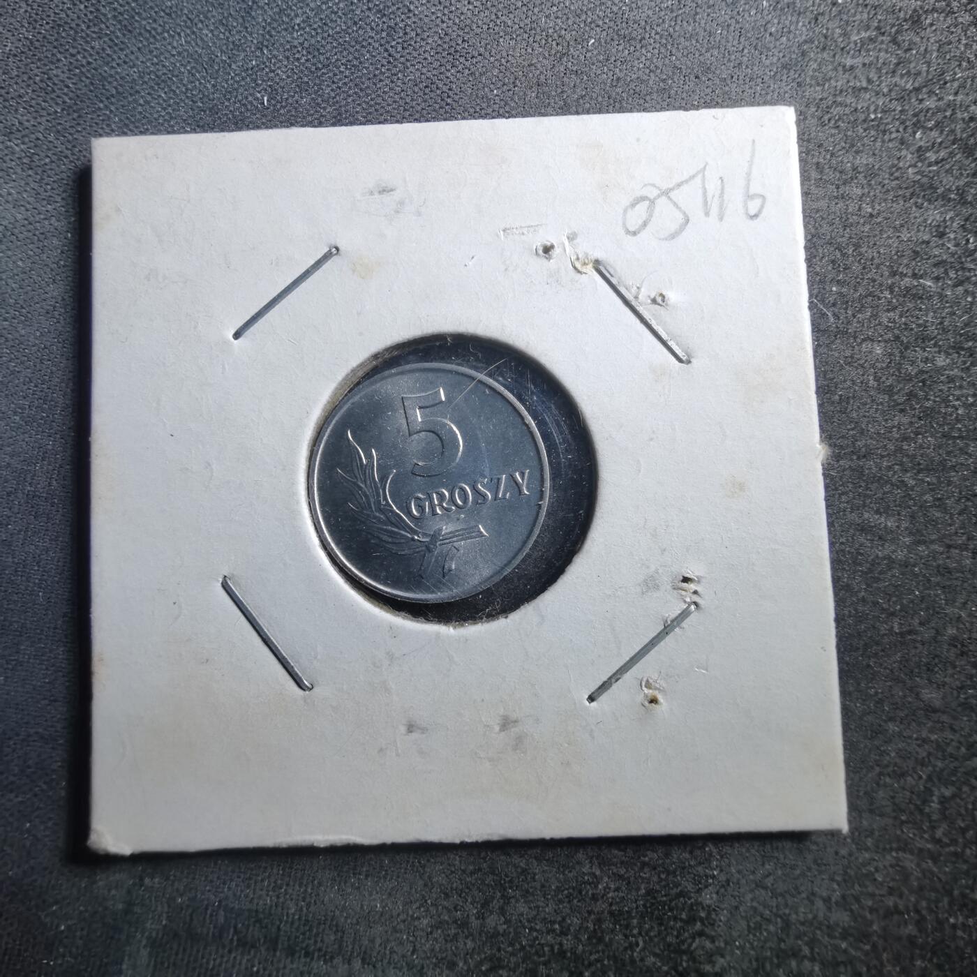 沼泽如烟--第705场