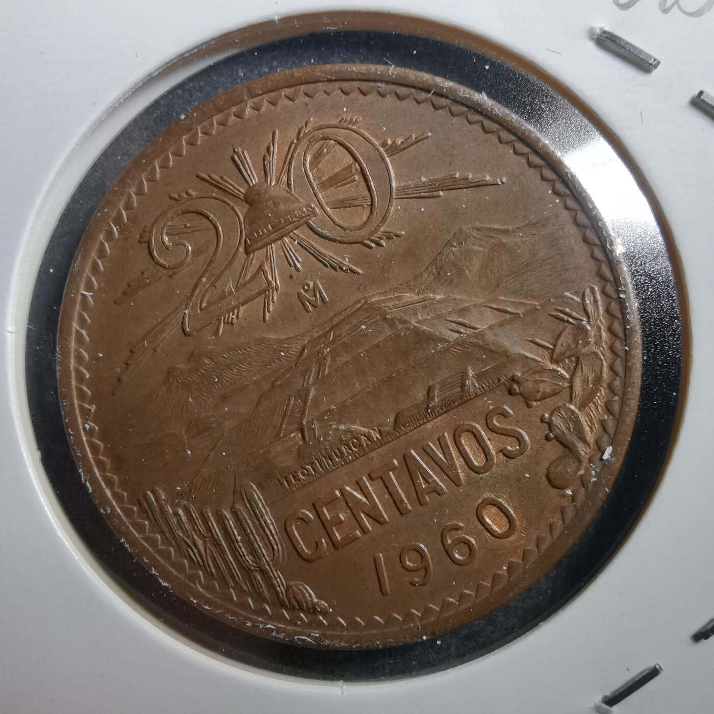 沼泽如烟--第704场