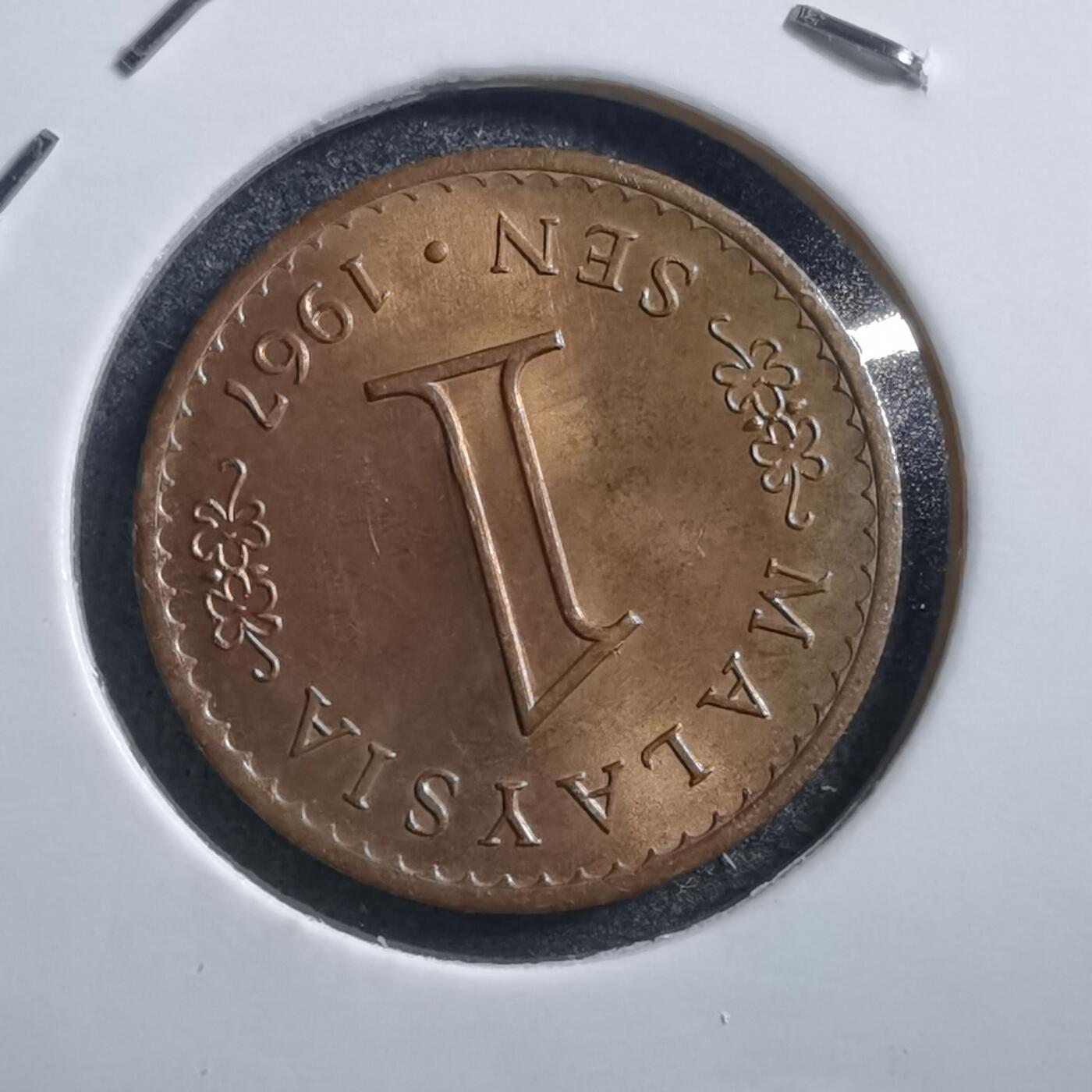 沼泽如烟--第705场