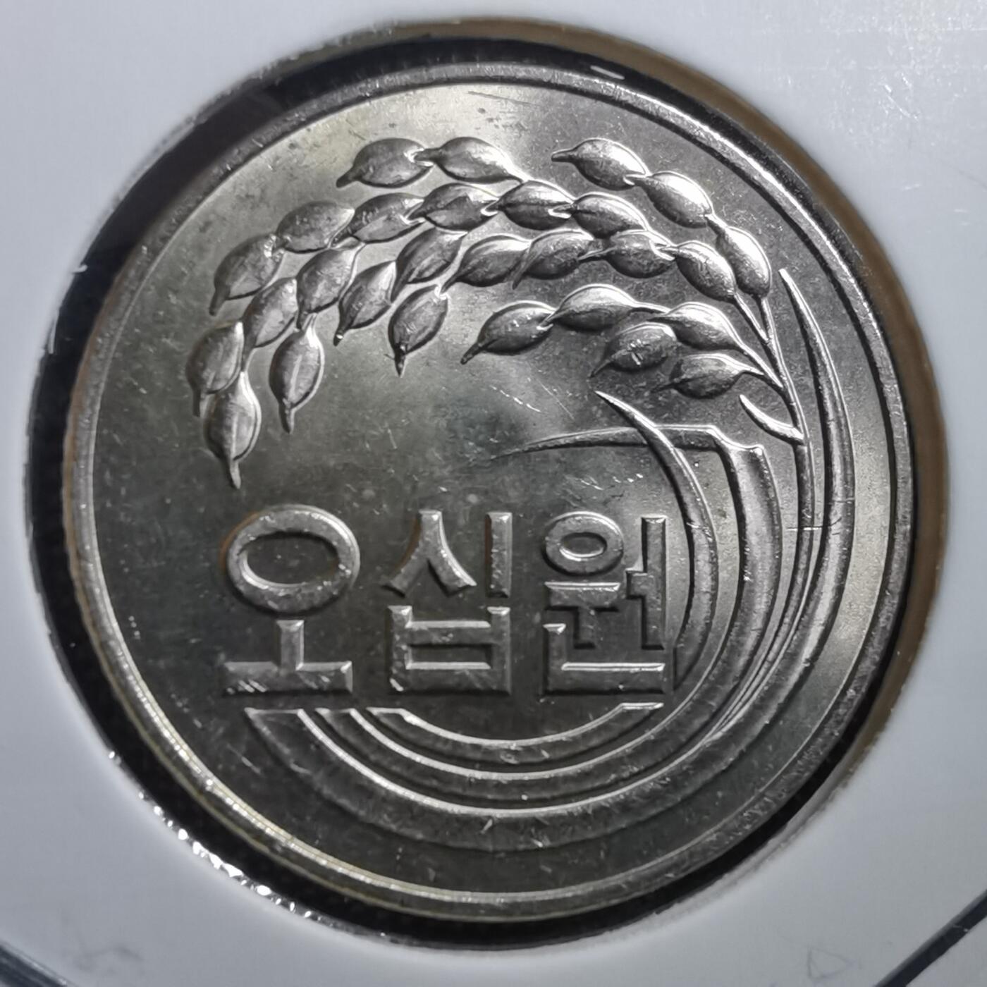 沼泽如烟--第705场