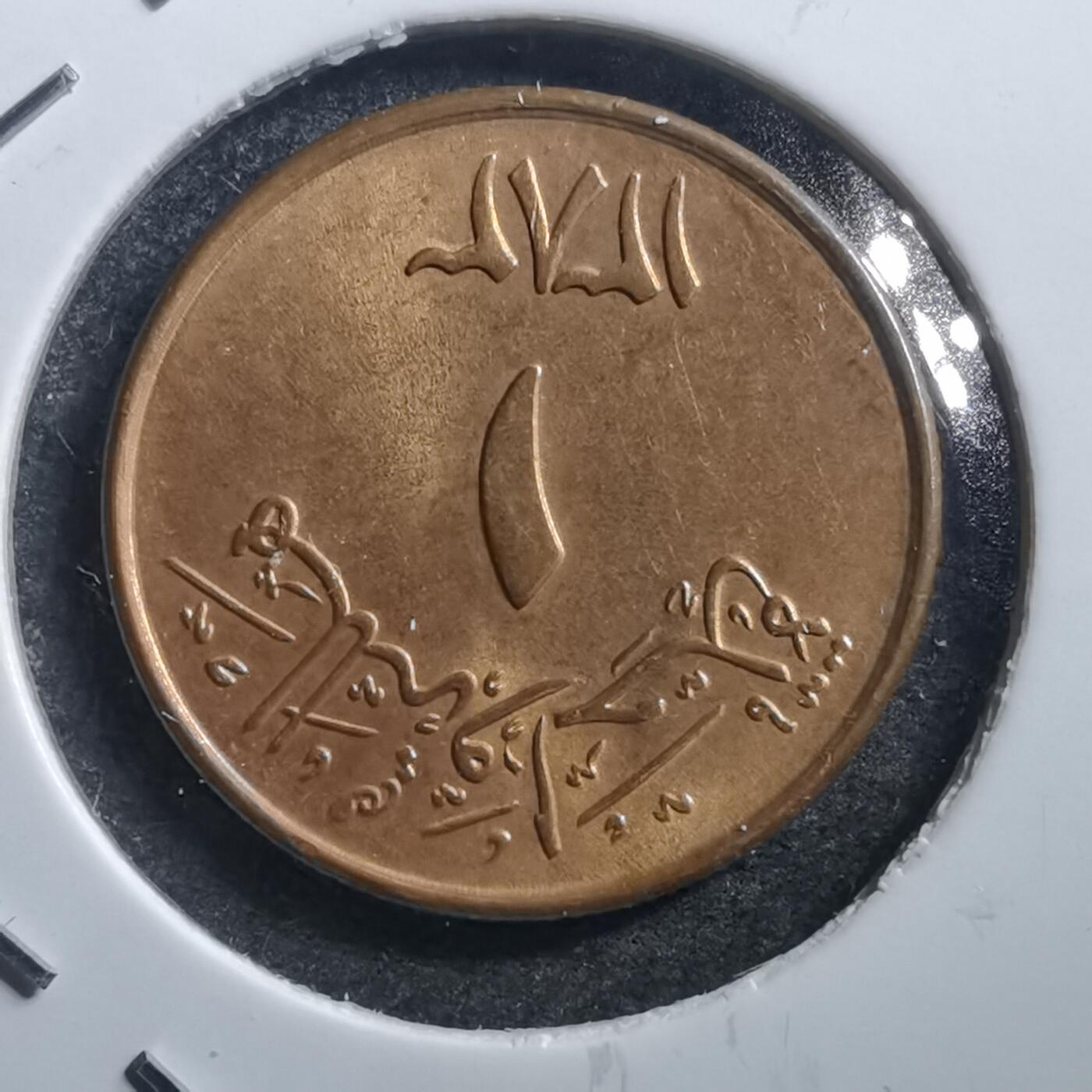 沼泽如烟--第705场