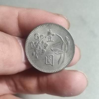 台湾省喜圆 - 5