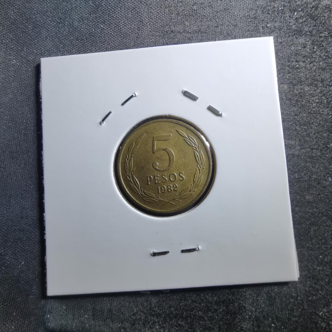 沼泽如烟--第705场