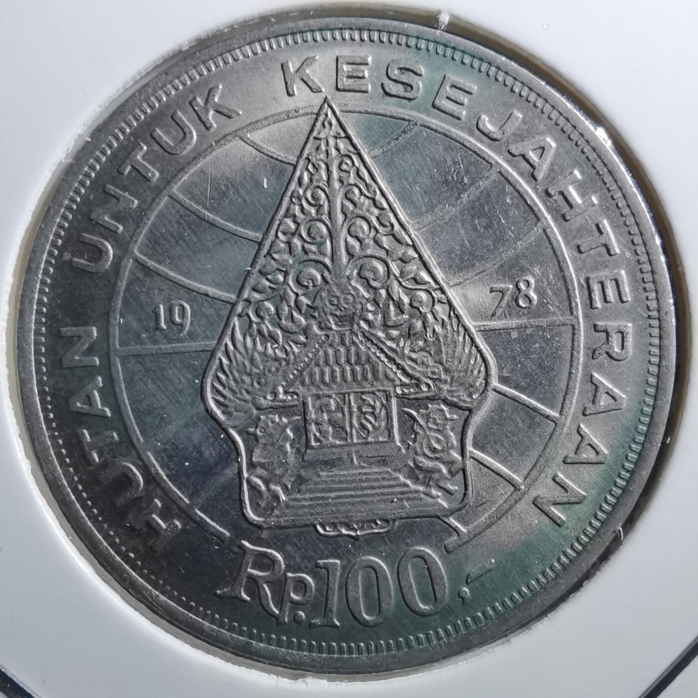 沼泽如烟--第705场