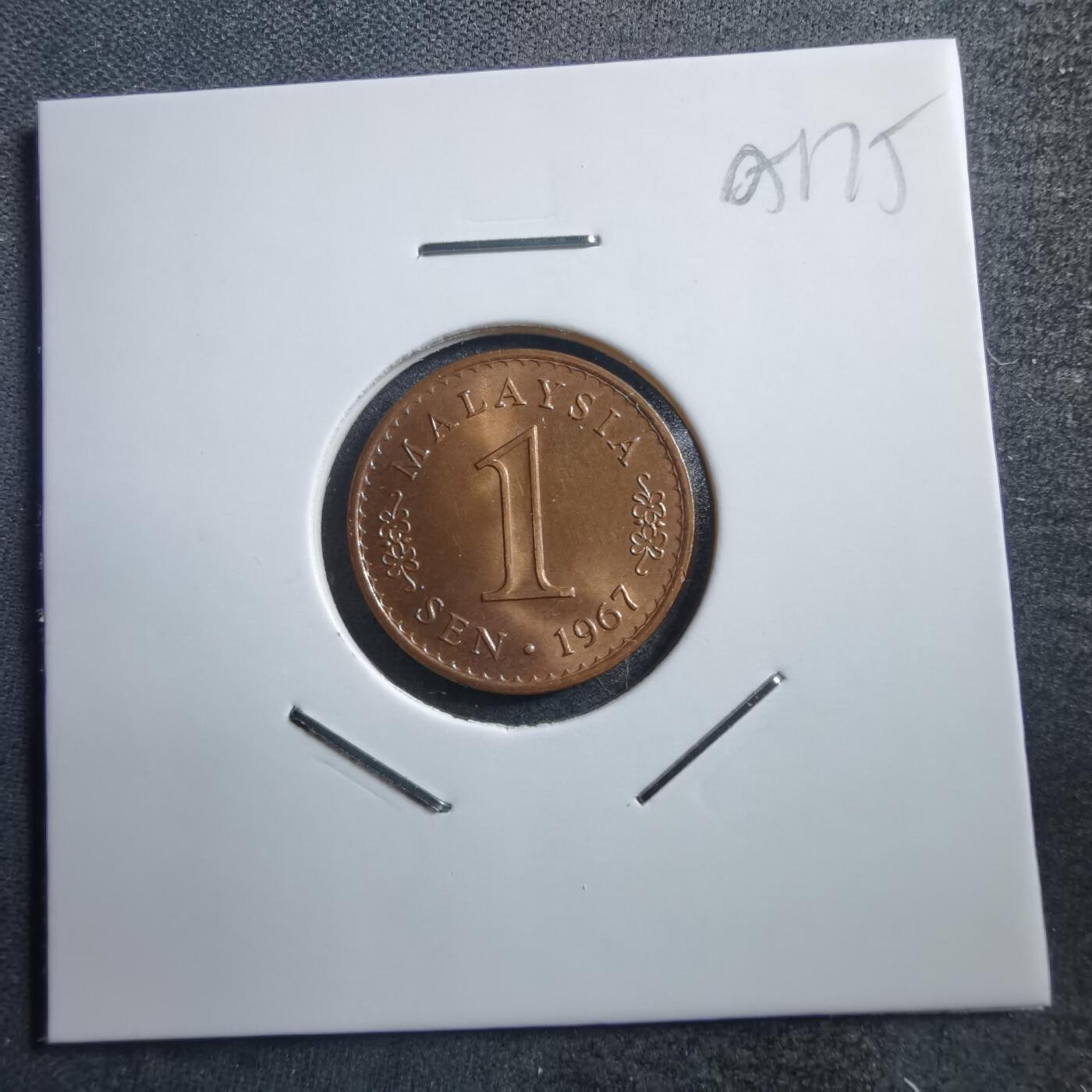 沼泽如烟--第705场