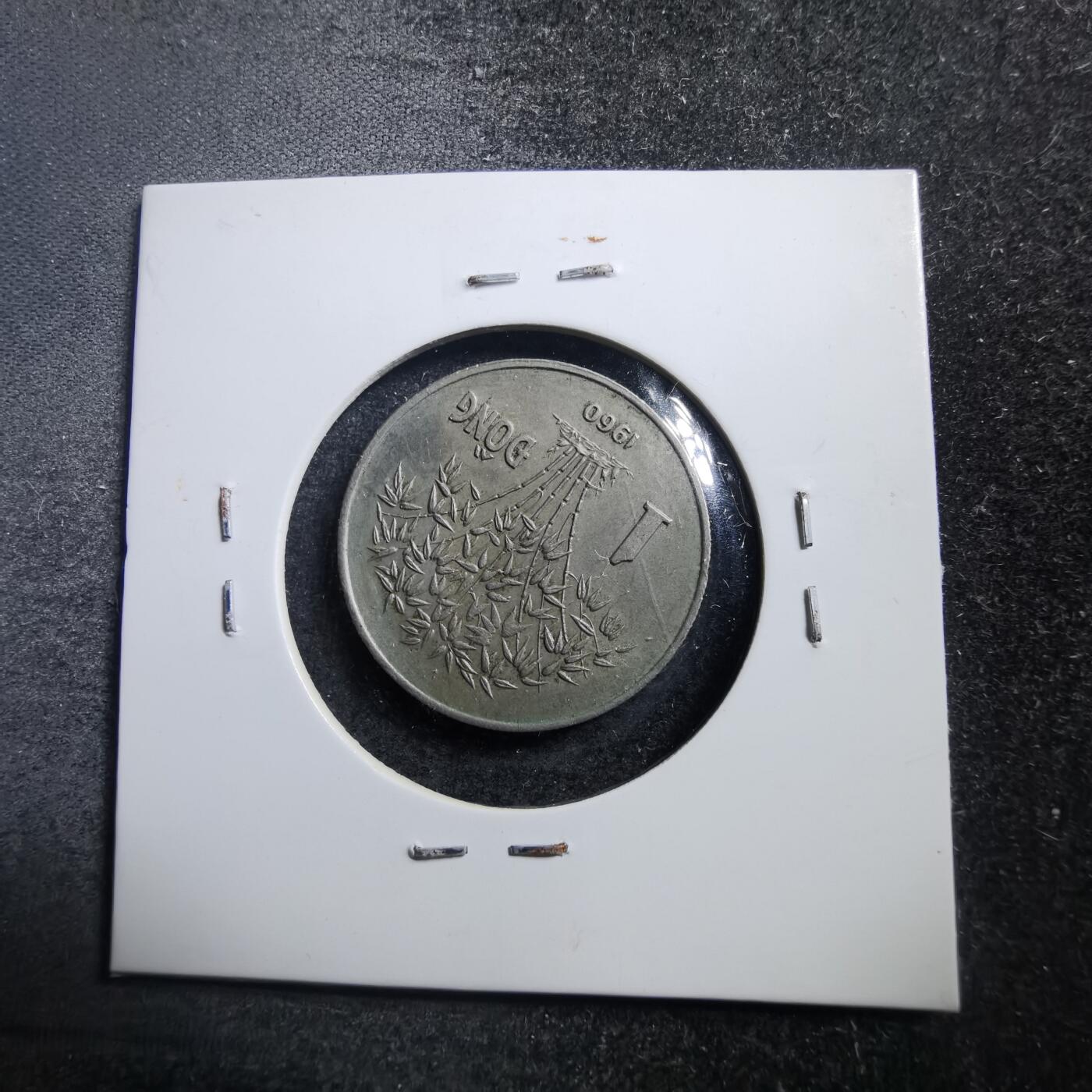 沼泽如烟--第705场