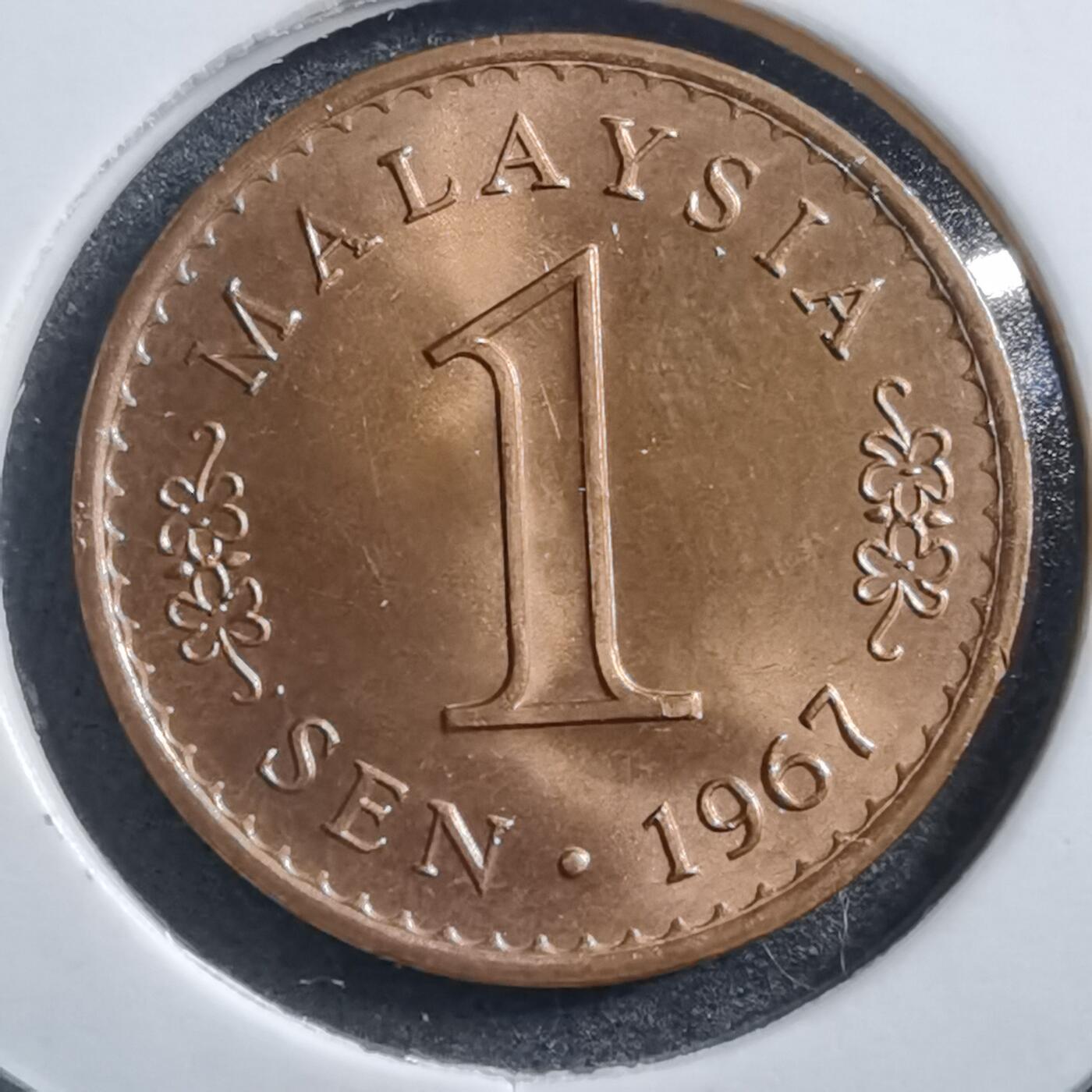 沼泽如烟--第705场