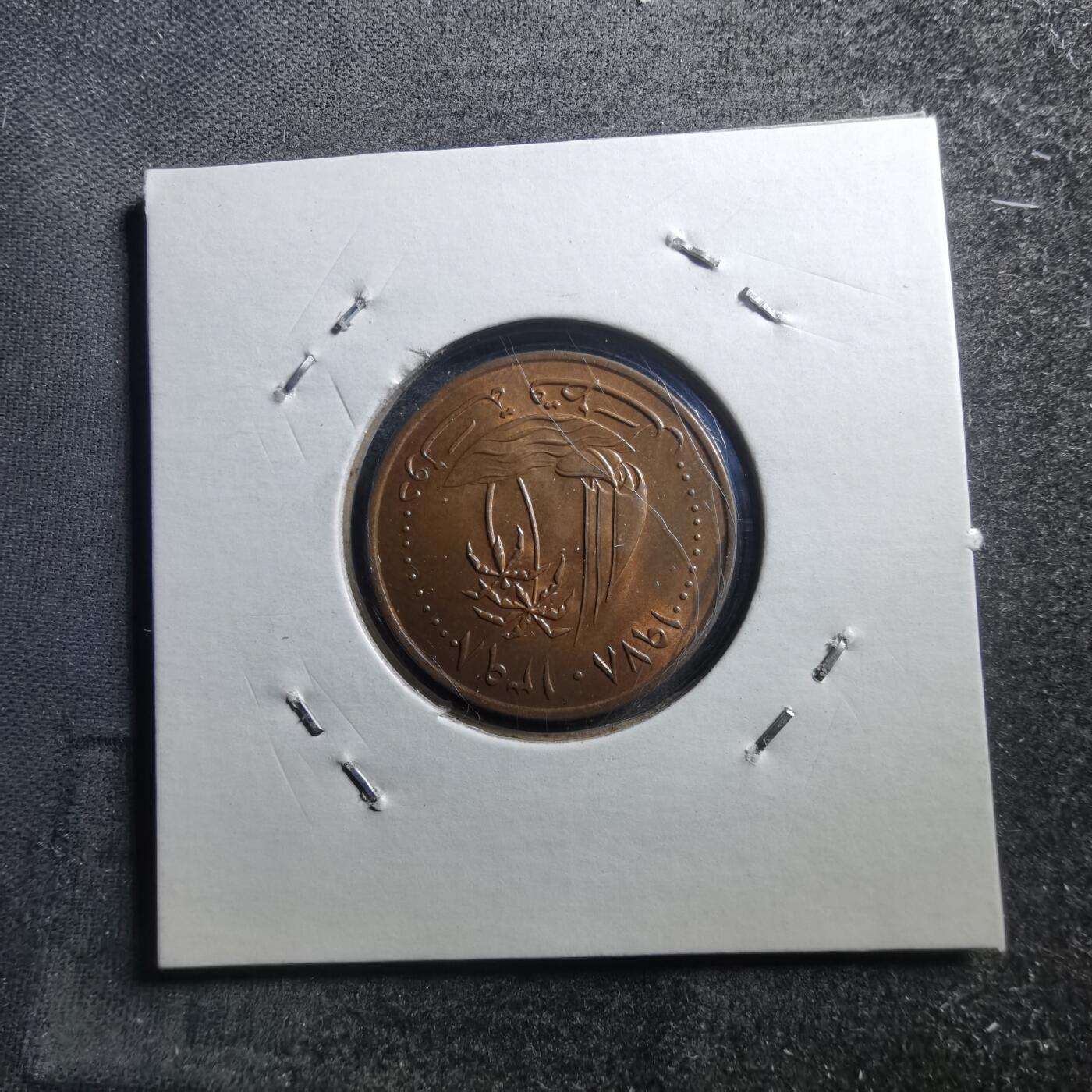 沼泽如烟--第705场